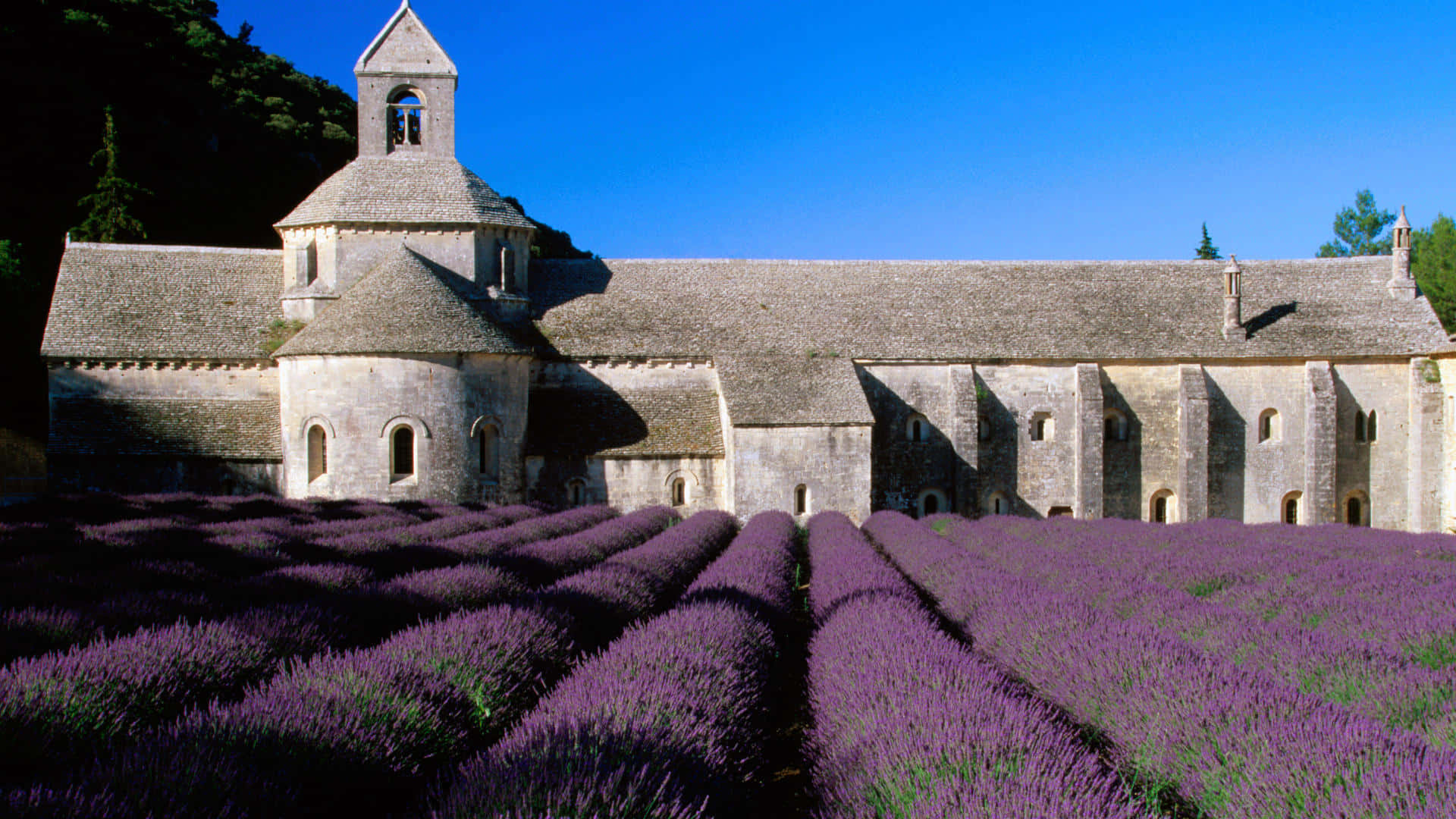 Europe 桌布 壁紙 — 一排排充滿活力的紫色薰衣草，在清澈的藍天下延伸向一座歷史悠久的石頭修道院。