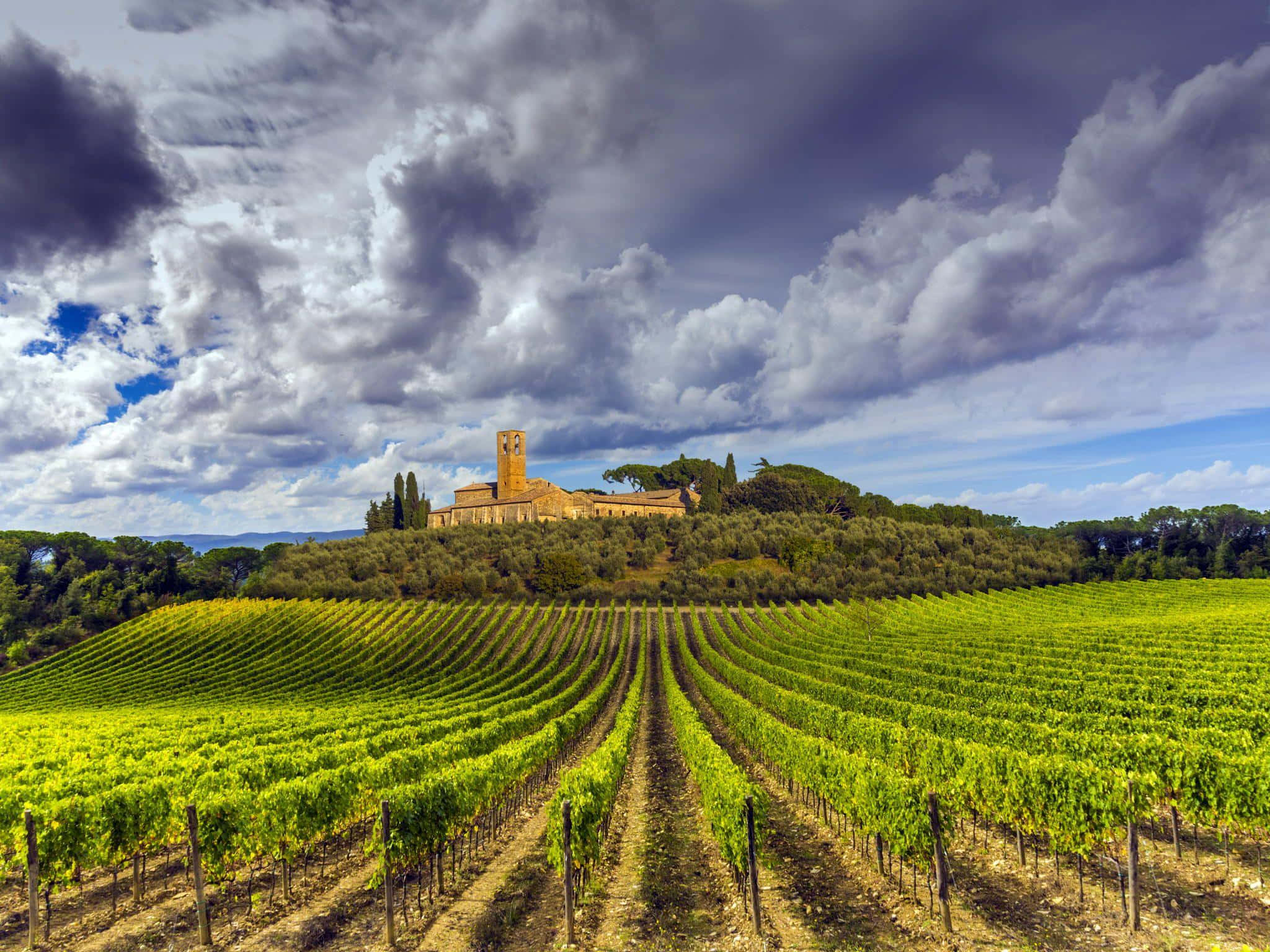 Tuscany 桌布 壁紙 — 一排排充滿活力的綠色藤蔓延伸至一座歷史悠久的石頭別墅，坐落在山丘上，天空多雲而戲劇化。