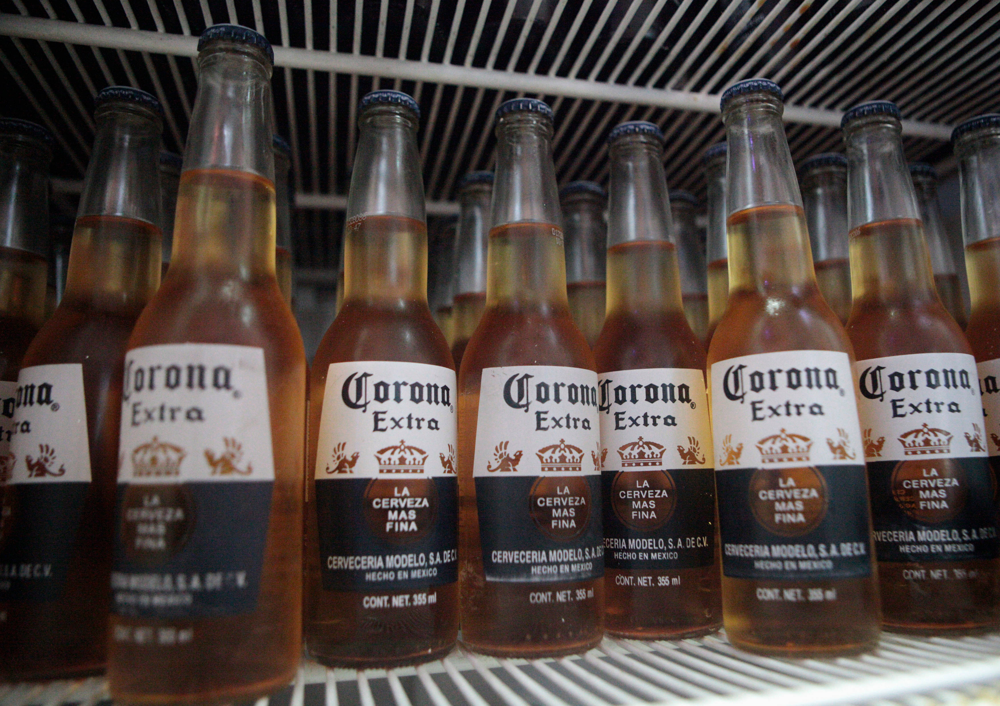 corona 桌布 壁紙 — 一排排冰涼的Corona Extra啤酒瓶，放在帶有條紋內部照明的冰箱中。