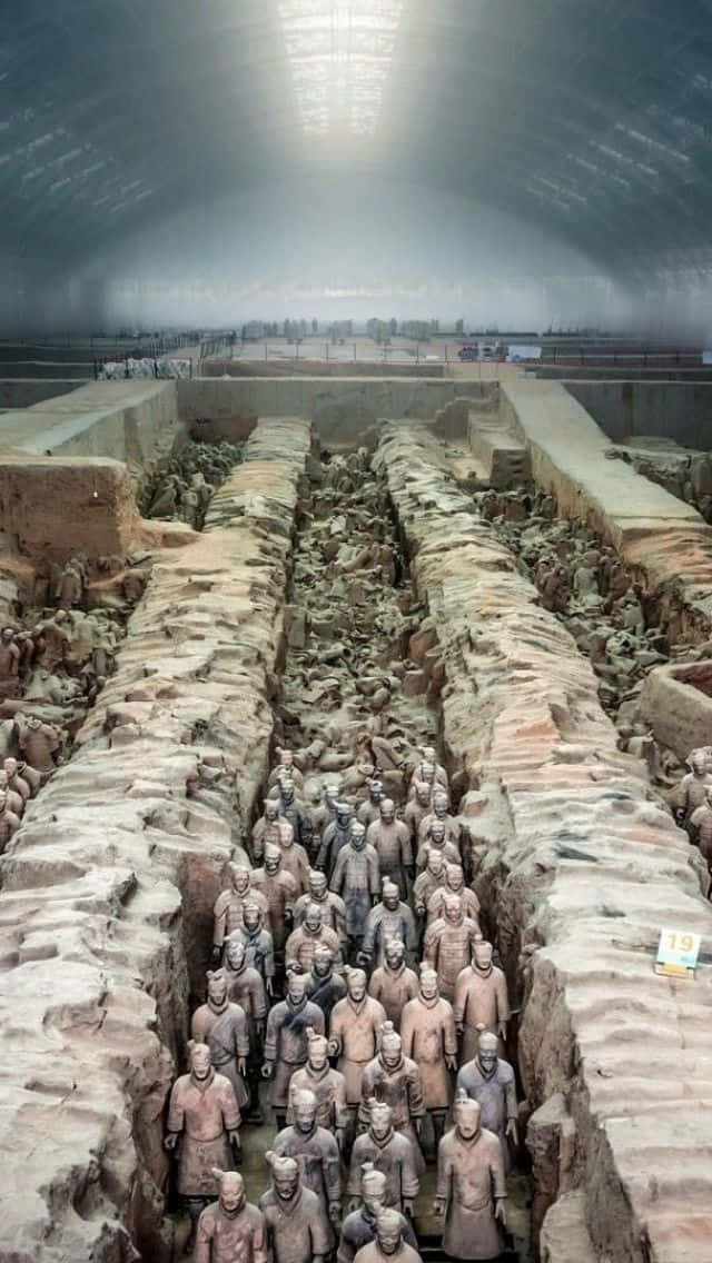Museum 桌布 壁紙 — 一排排古老的兵馬俑在保護玻璃屋頂下的考古發掘現場內列隊站立。