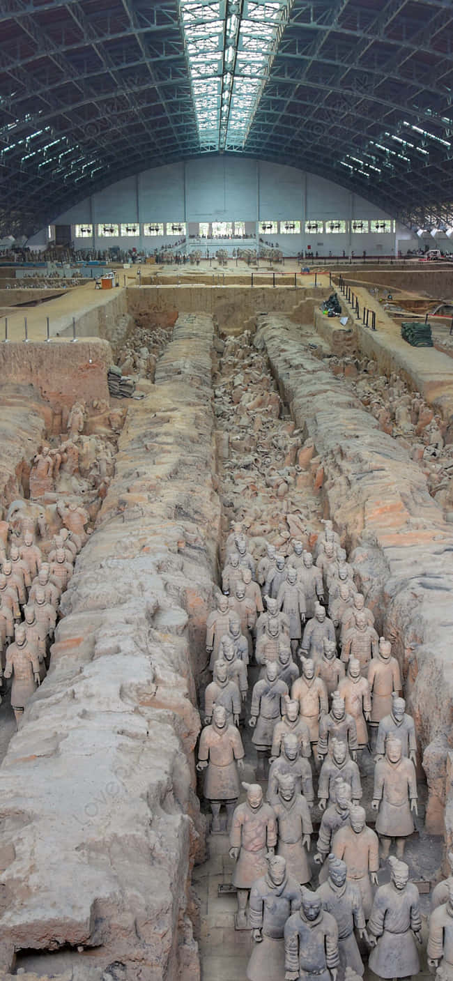 Museum 桌布 壁紙 — 一排排古老的兵馬俑在寬敞的現代展廳屋頂下整齊排列。