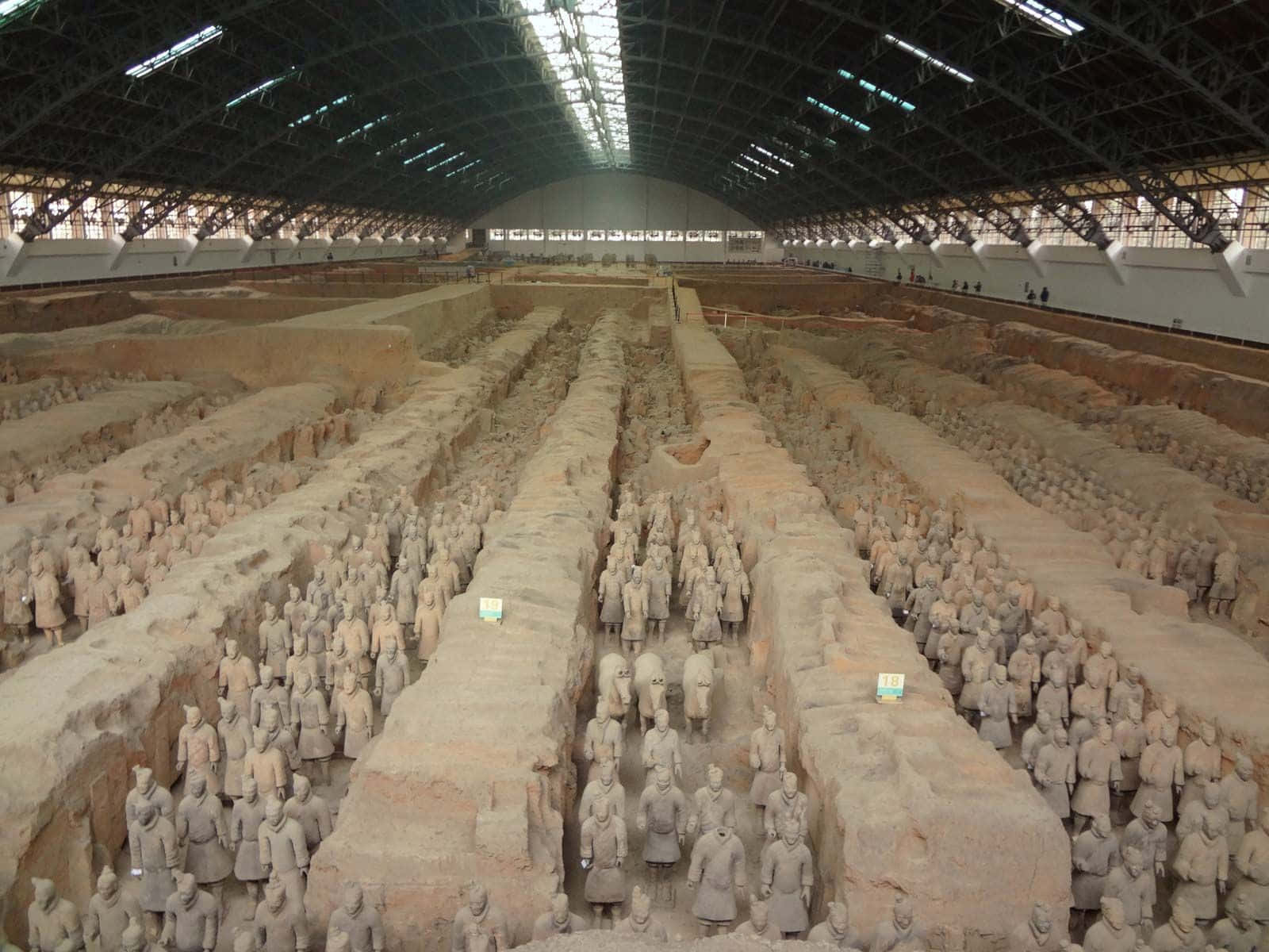 Museum 桌布 壁紙 — 一排排古老的兵馬俑在廣闊的保護屋頂下以精確的隊形站立在兵馬俑遺址。