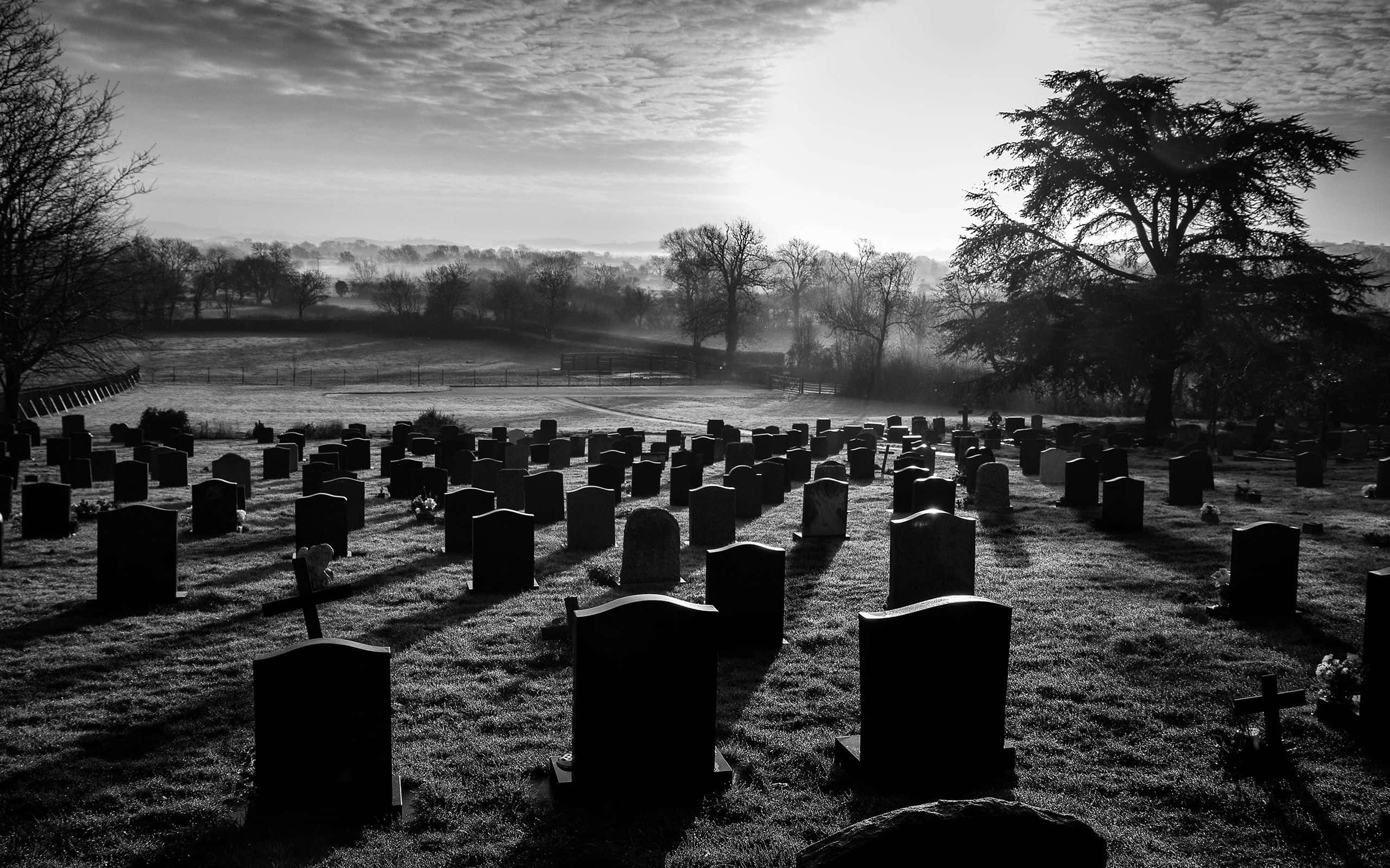Graveyard 桌布 壁紙 — 一排排墓碑在黎明時分延伸穿過霧氣瀰漫的墓地，樹木光禿，柔和光線穿過雲層。