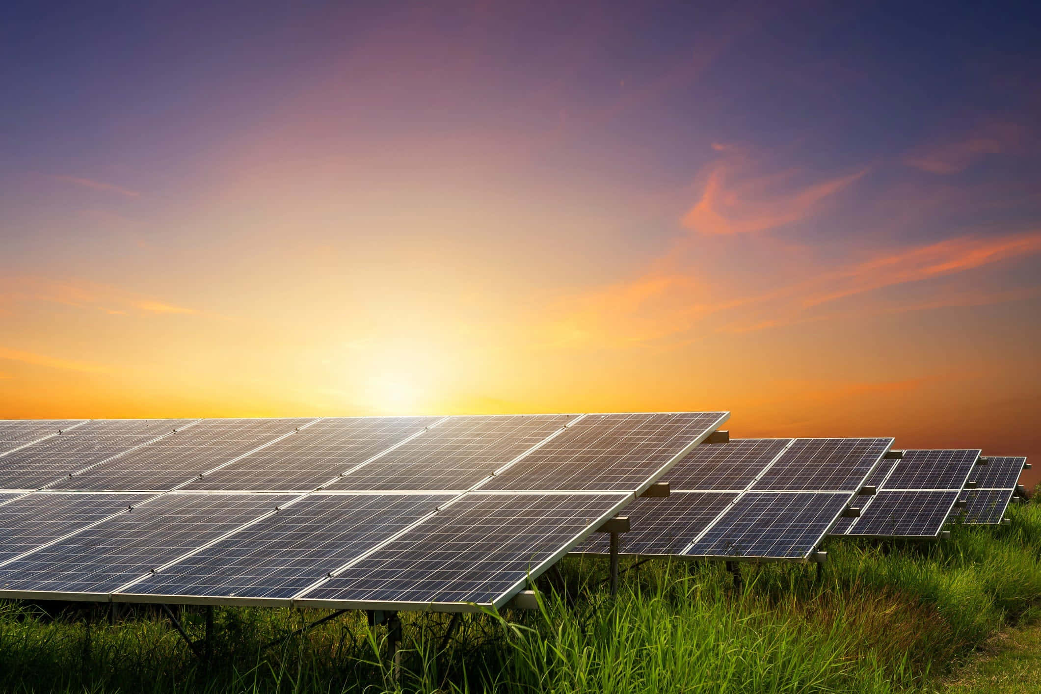 Solar Panel 桌布 壁紙 — 一排排太陽能板在充滿活力的日落天空下閃閃發光，橙色和紫色的雲朵在綠草之上。