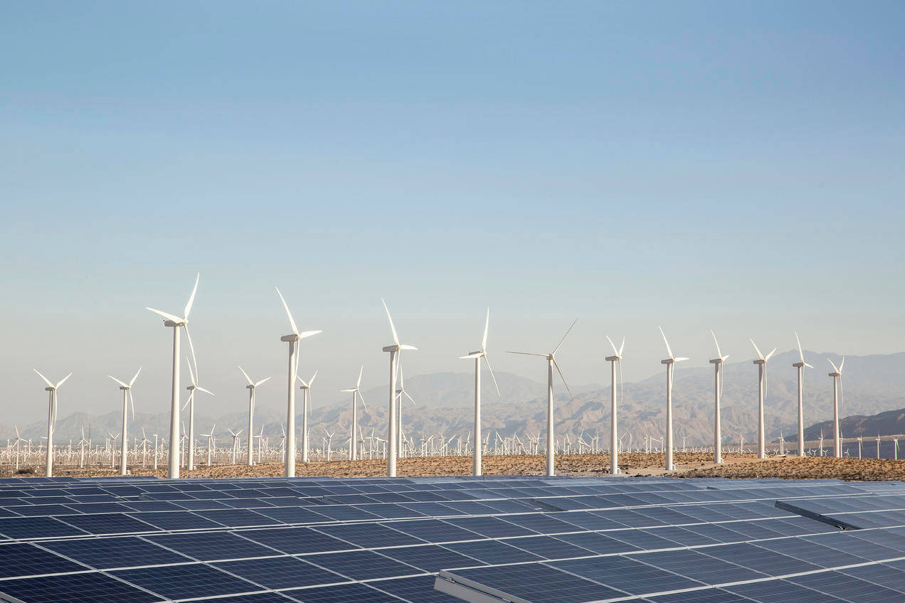 電力 桌布 壁紙 — 一排排太陽能板在晴朗的藍天下延伸至地平線，地平線上有白色的風力渦輪機。