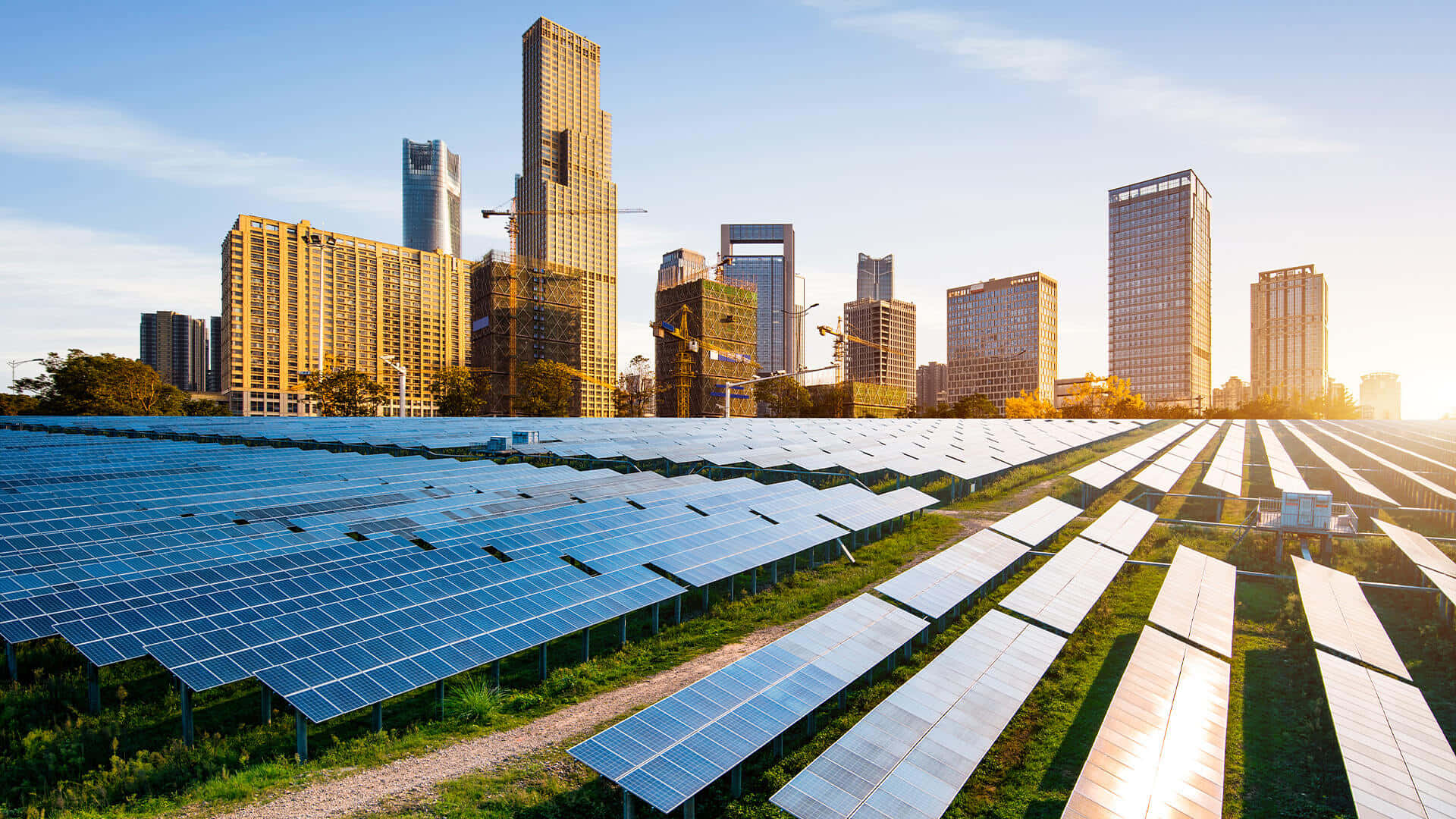 Solar Panel 桌布 壁紙 — 一排排太陽能板延伸向沐浴在金色夕陽下的現代城市天際線。