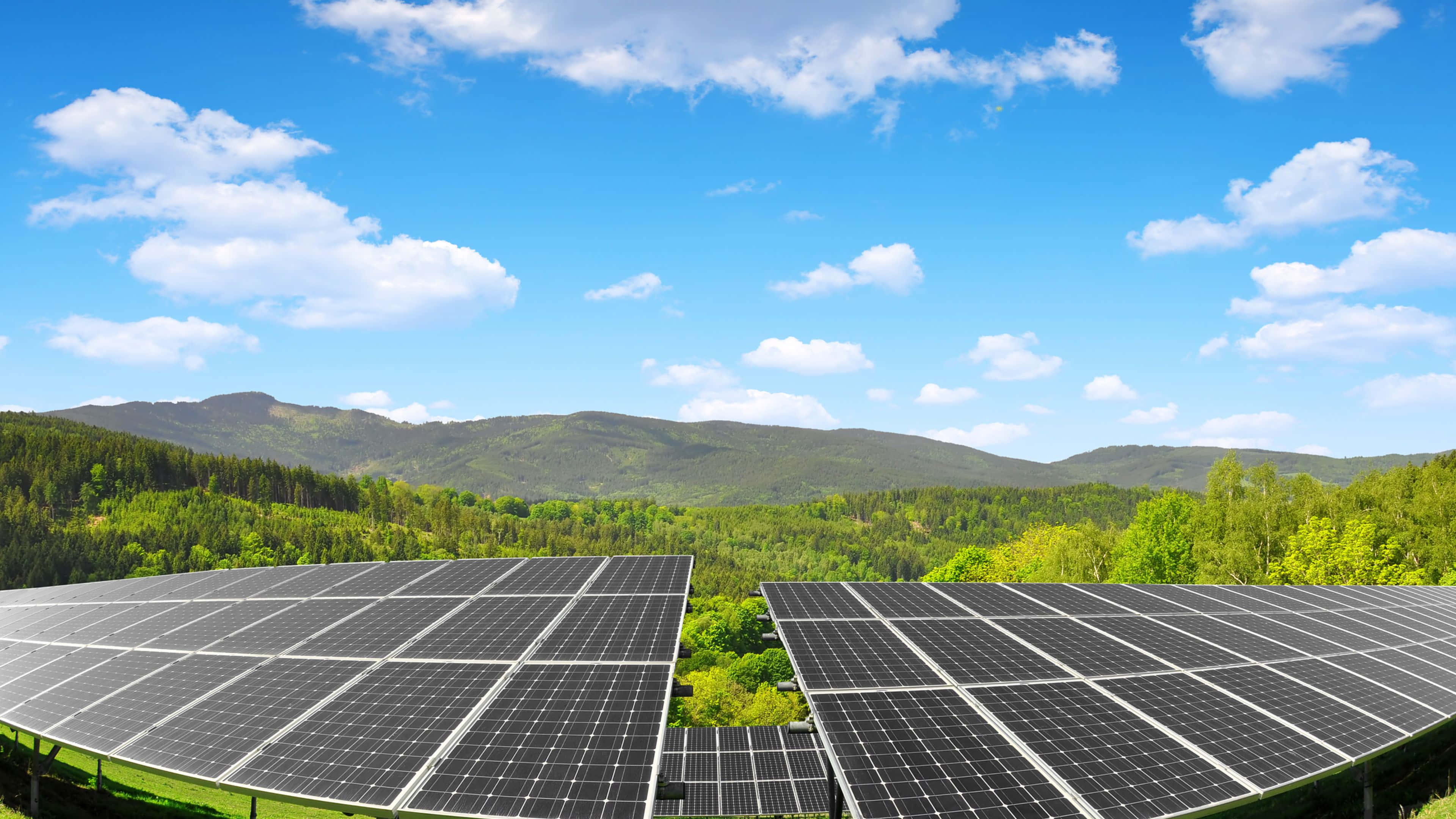 Solar Panel 桌布 壁紙 — 一排排太陽能板延伸在草地田野上，背景是明亮的藍天、蓬鬆的白雲和遠處的森林山丘。