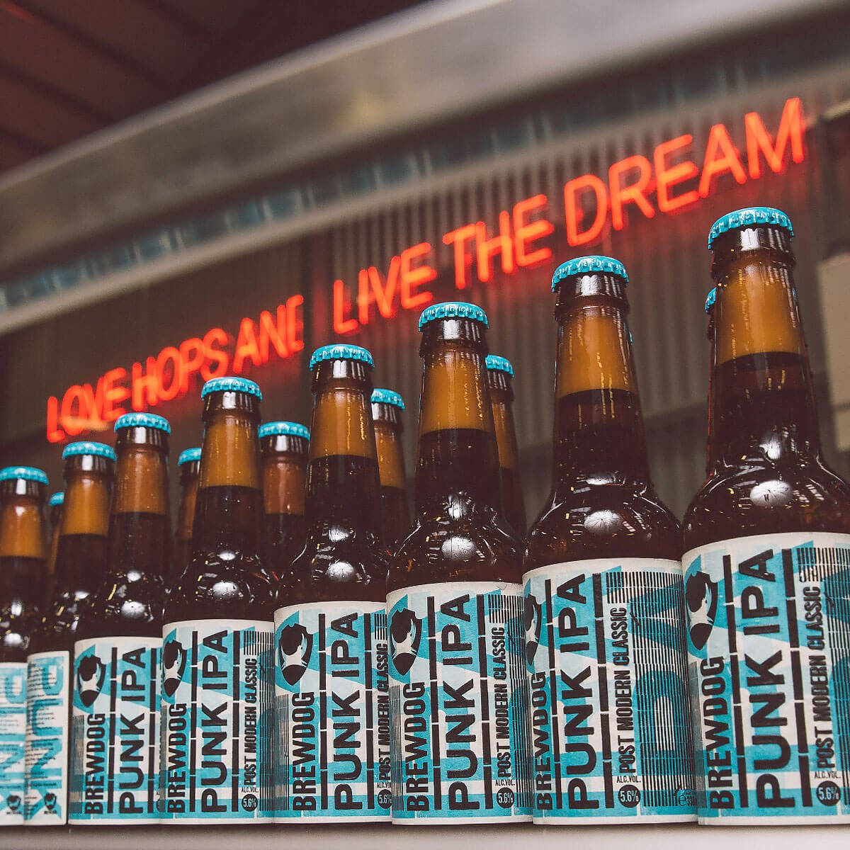 Drink 桌布 壁紙 — 一排排帶有藍色瓶蓋和標籤的BrewDog Punk IPA啤酒瓶，放在一個發光的紅色霓虹燈標誌前，上面寫著「LOVE HOPS AND LIVE THE DREAM」。