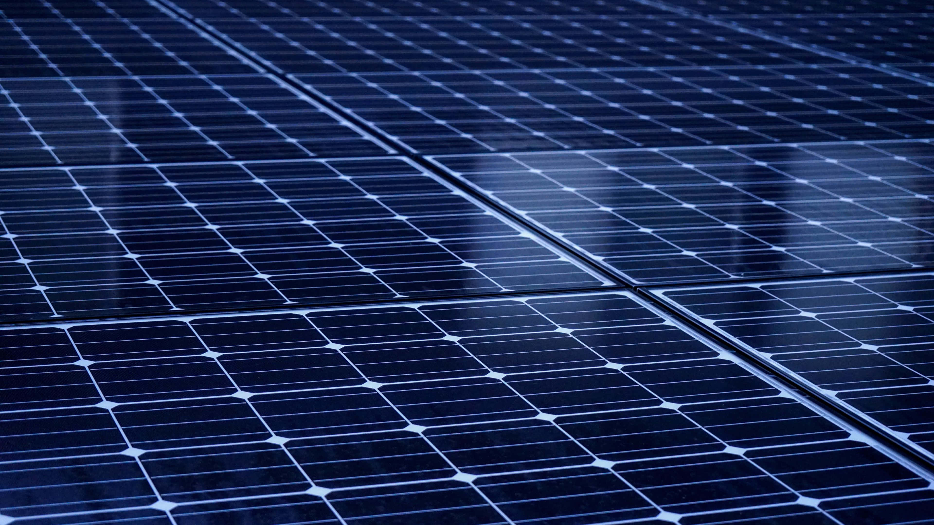 Solar Panel 桌布 壁紙 — 一排排時尚的藍色太陽能板在柔和光線下閃耀，帶有清晰的網格線和反光表面。
