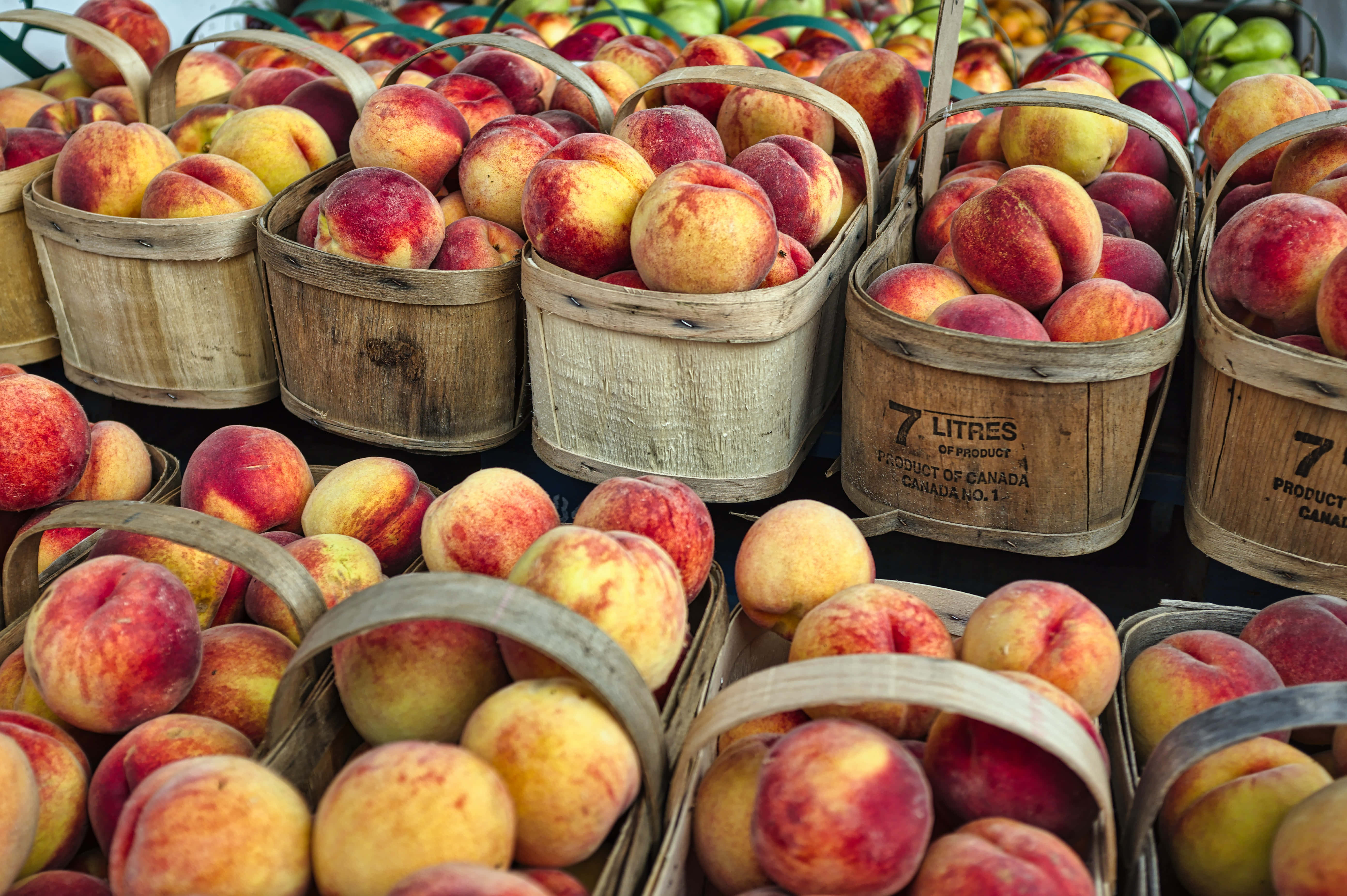 Peaches 桌布 壁紙 — 一排排木籃裝滿成熟的桃子，在熙熙攘攘的農貿市場中展現出鮮豔的紅色、黃色和橙色色調。