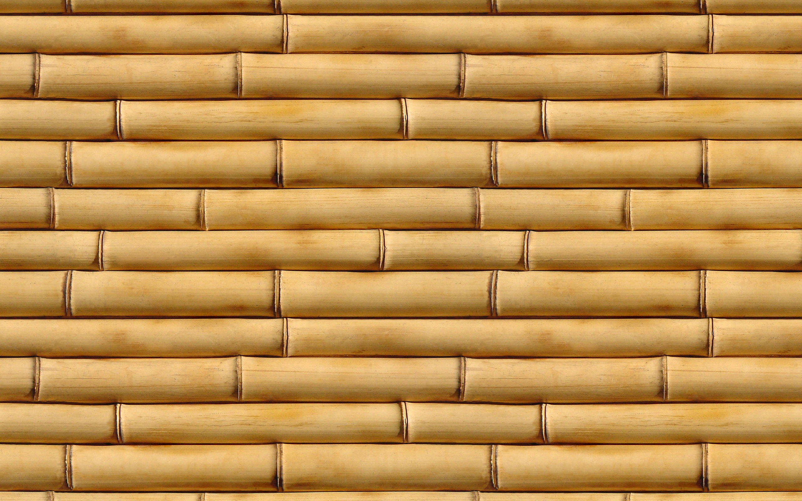 Bamboo HD 桌布 壁紙 — 一排排淺棕色竹莖營造出自然紋理牆壁，帶有溫暖的大地色調和細膩的木紋圖案。
