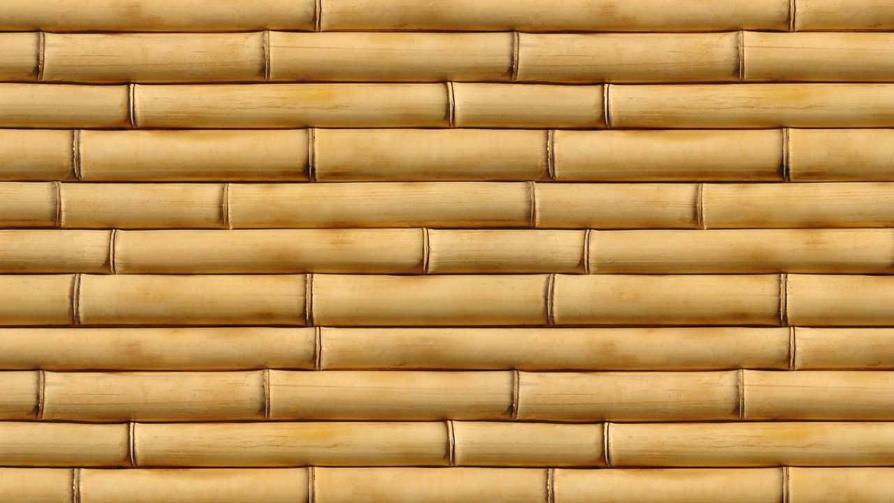 720p Bamboo 桌布 壁紙 — 一排排淺棕色竹莖營造出自然紋理牆壁，帶有溫暖大地色調和細微的木紋圖案。