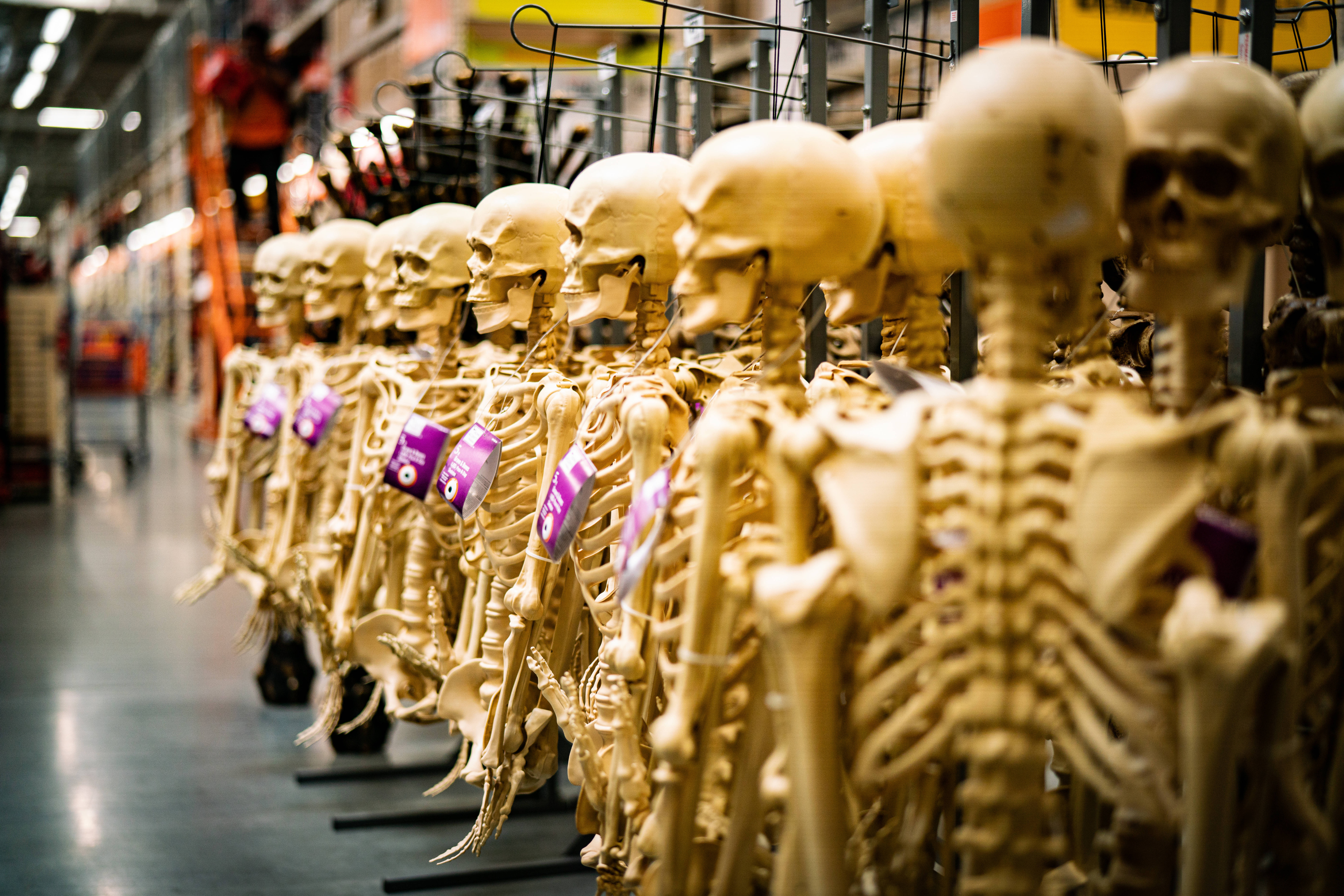 Spooky 桌布 壁紙 — 一排排米色塑膠骷髏帶紫色標籤，在明亮的螢光燈下排列在商店貨架上。