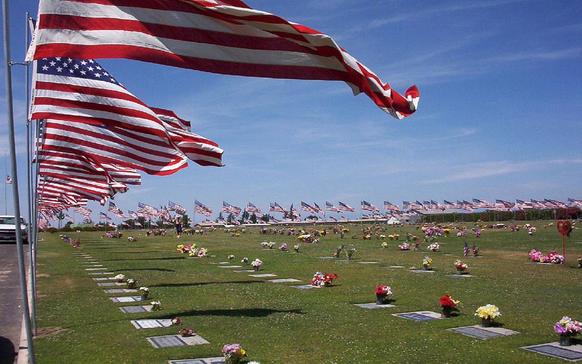 Memorial 桌布 壁紙 — 一排排美國國旗在陽光明媚的墓地上自豪地飄揚，墓碑上裝飾著色彩繽紛的花朵，在清澈的藍天下。