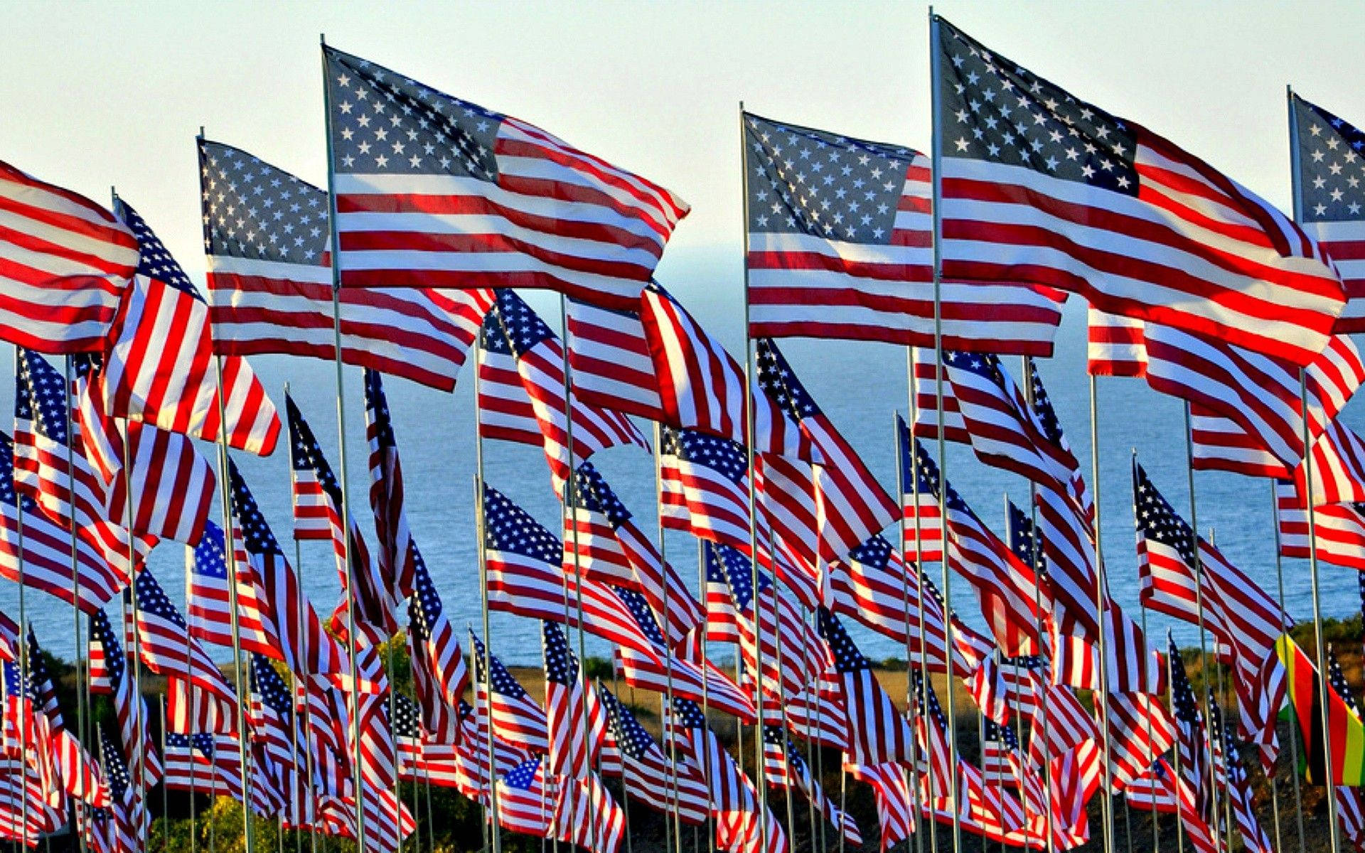 4th Of July 桌布 壁紙 — 一排排美國國旗在風中猛烈飄揚，背景是平靜的海洋和柔和的天際。