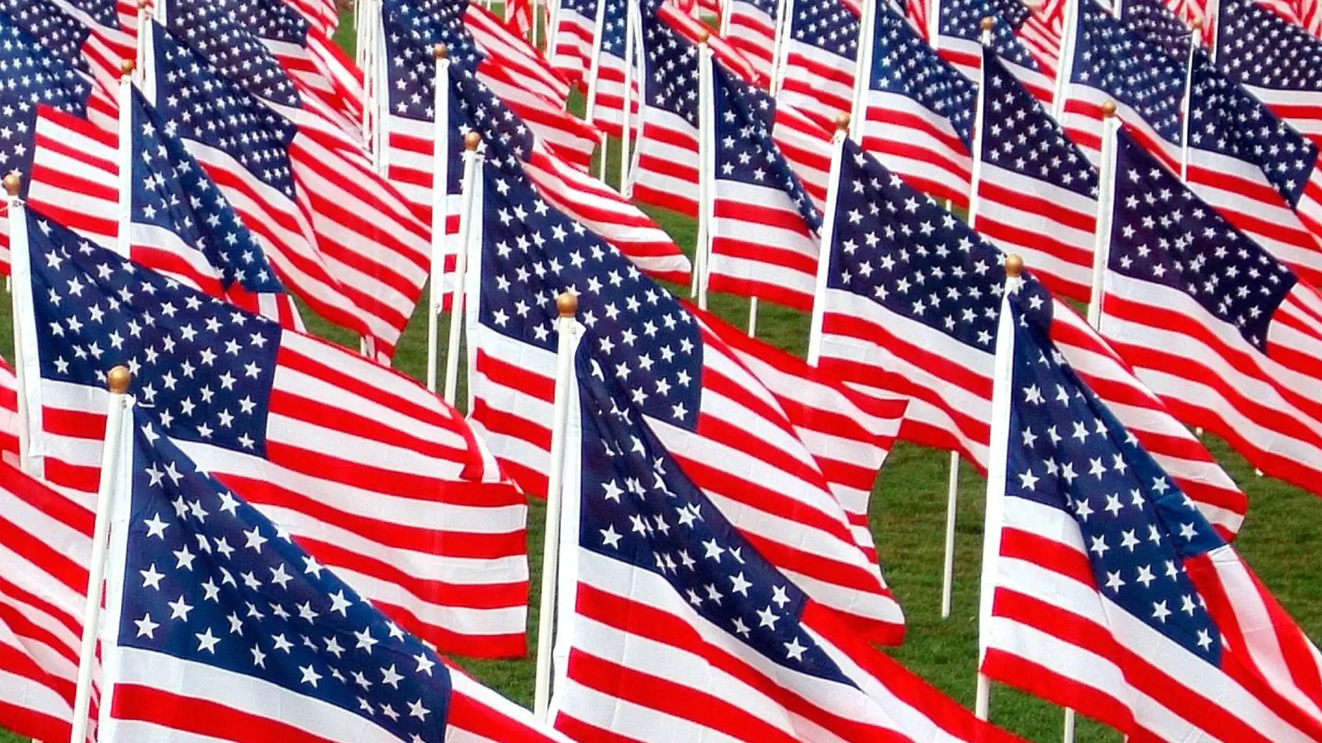 Flag 桌布 壁紙 — 一排排美國國旗在風中猛烈飄揚，背景是綠草。