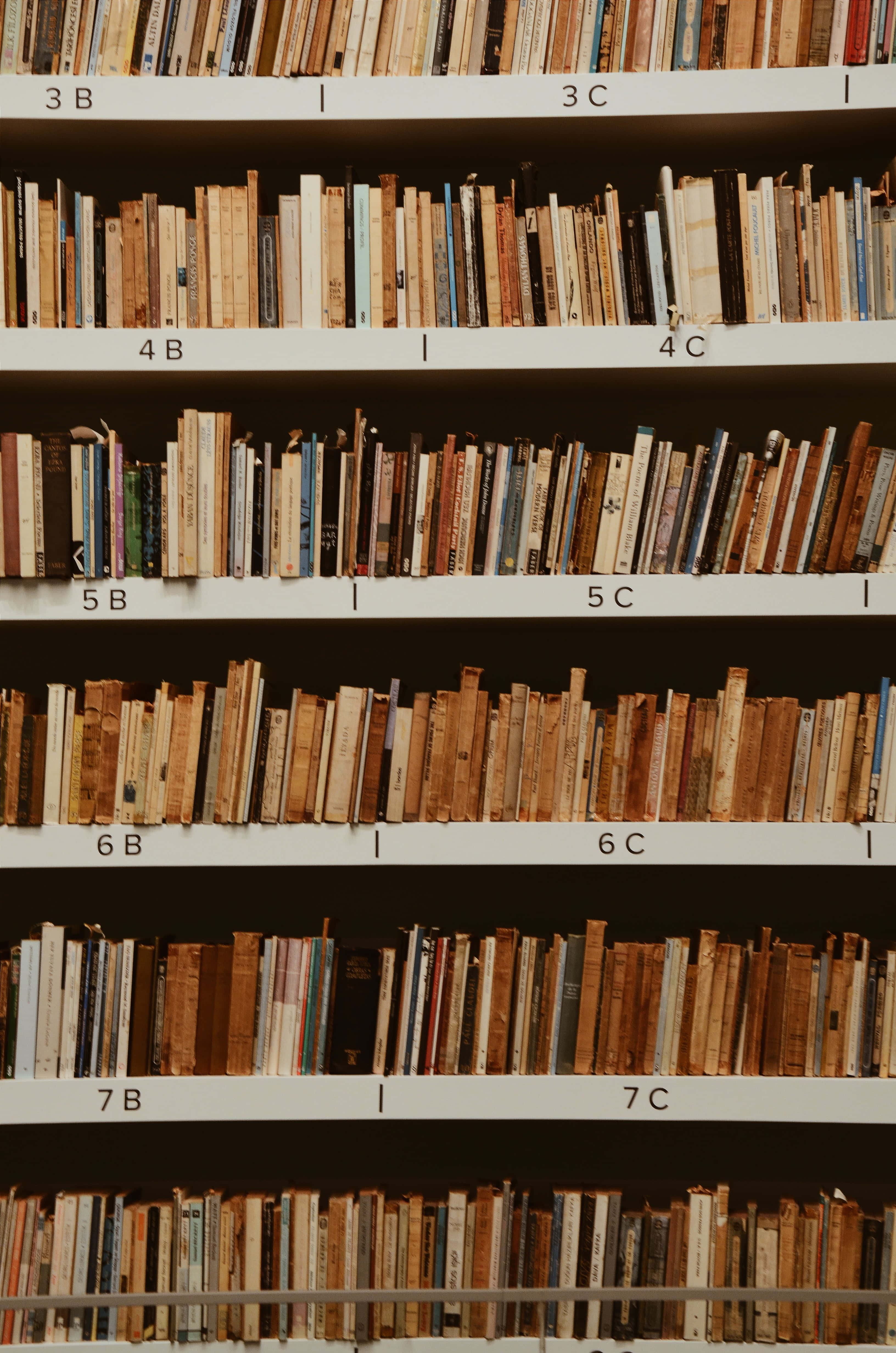 Books iPhone 桌布 壁紙 — 一排排舊書填滿了白色圖書館書架，書架上標有字母數字代碼，呈現溫暖的棕褐色調。