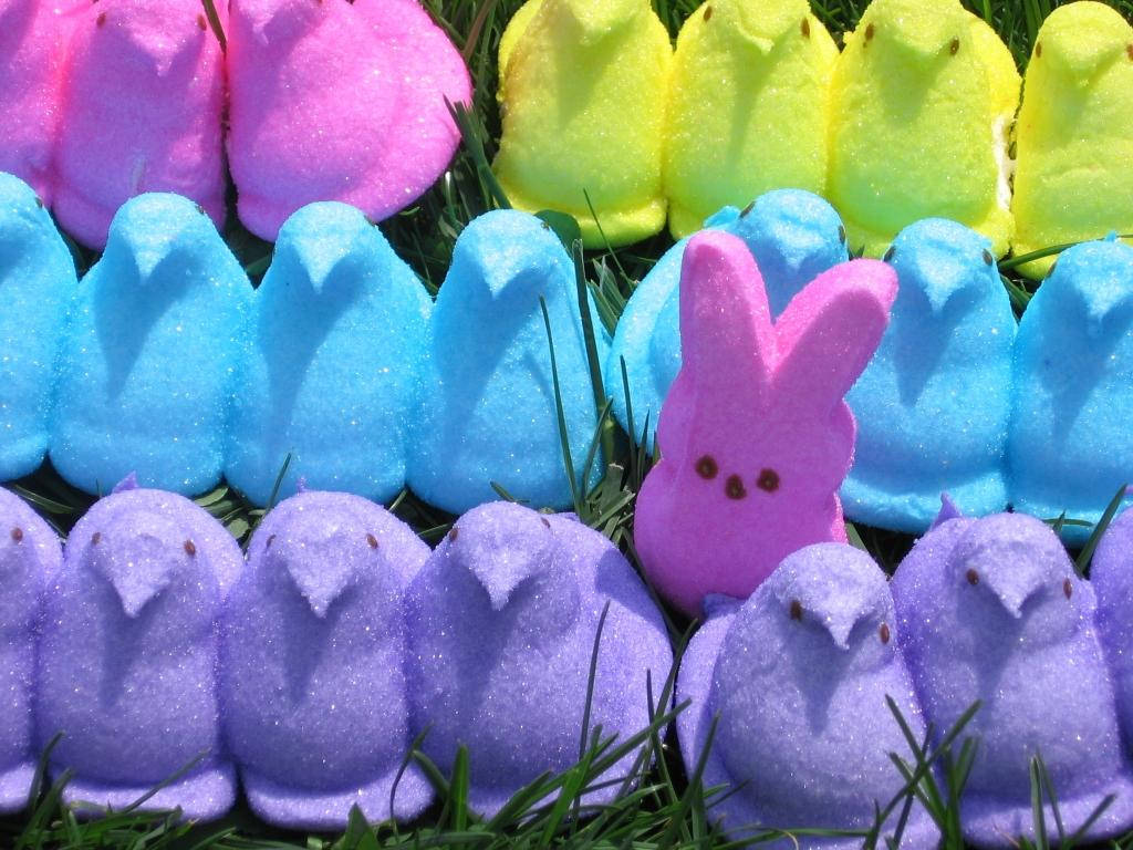 色彩繽紛閃亮的復活節Peeps兔子排列成行在綠色草地上。 — Squishmallows 壁紙