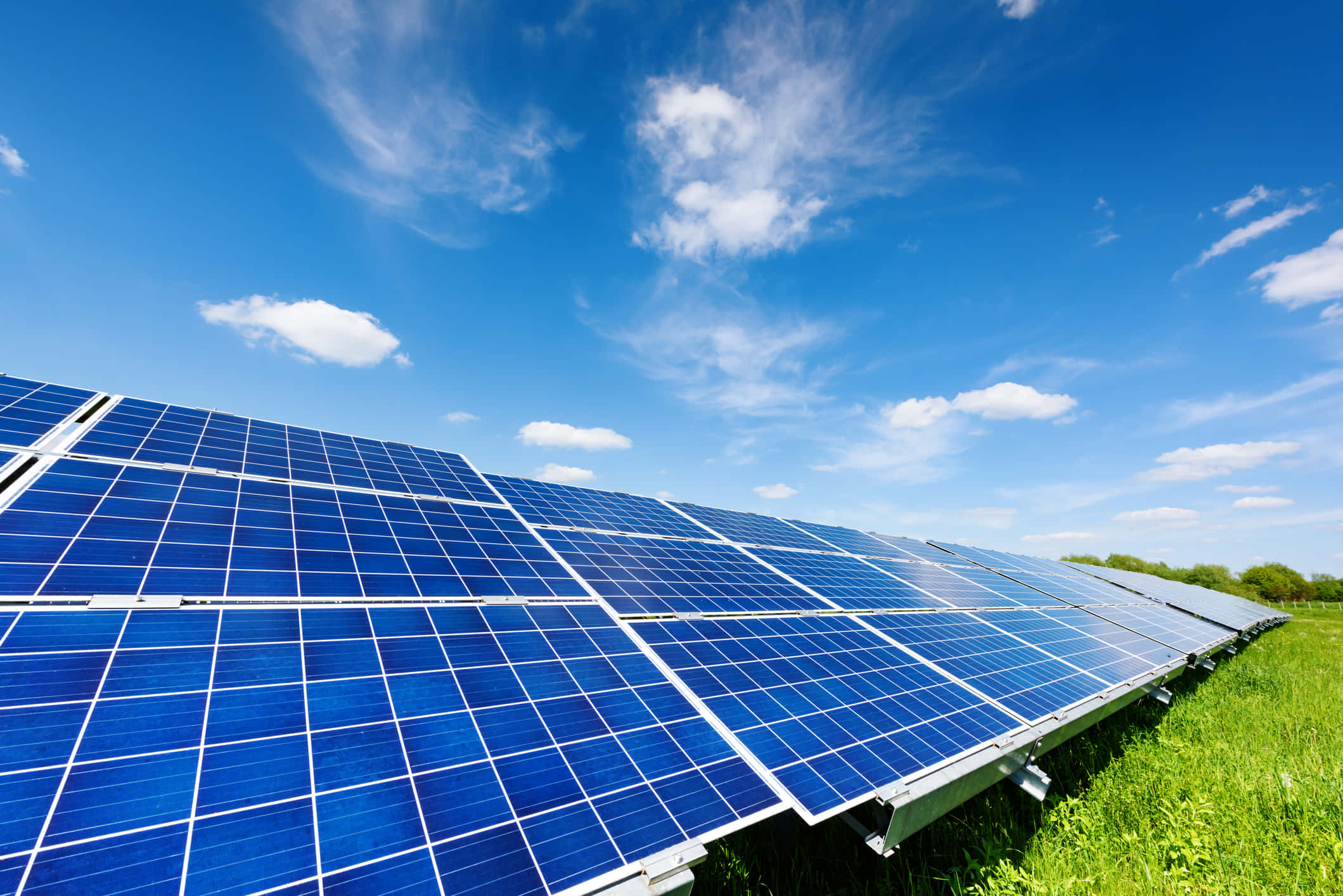 Solar Panel 桌布 壁紙 — 一排排藍色太陽能板在充滿活力的綠色田野上延伸，上方是明亮的藍天和縷縷白雲。