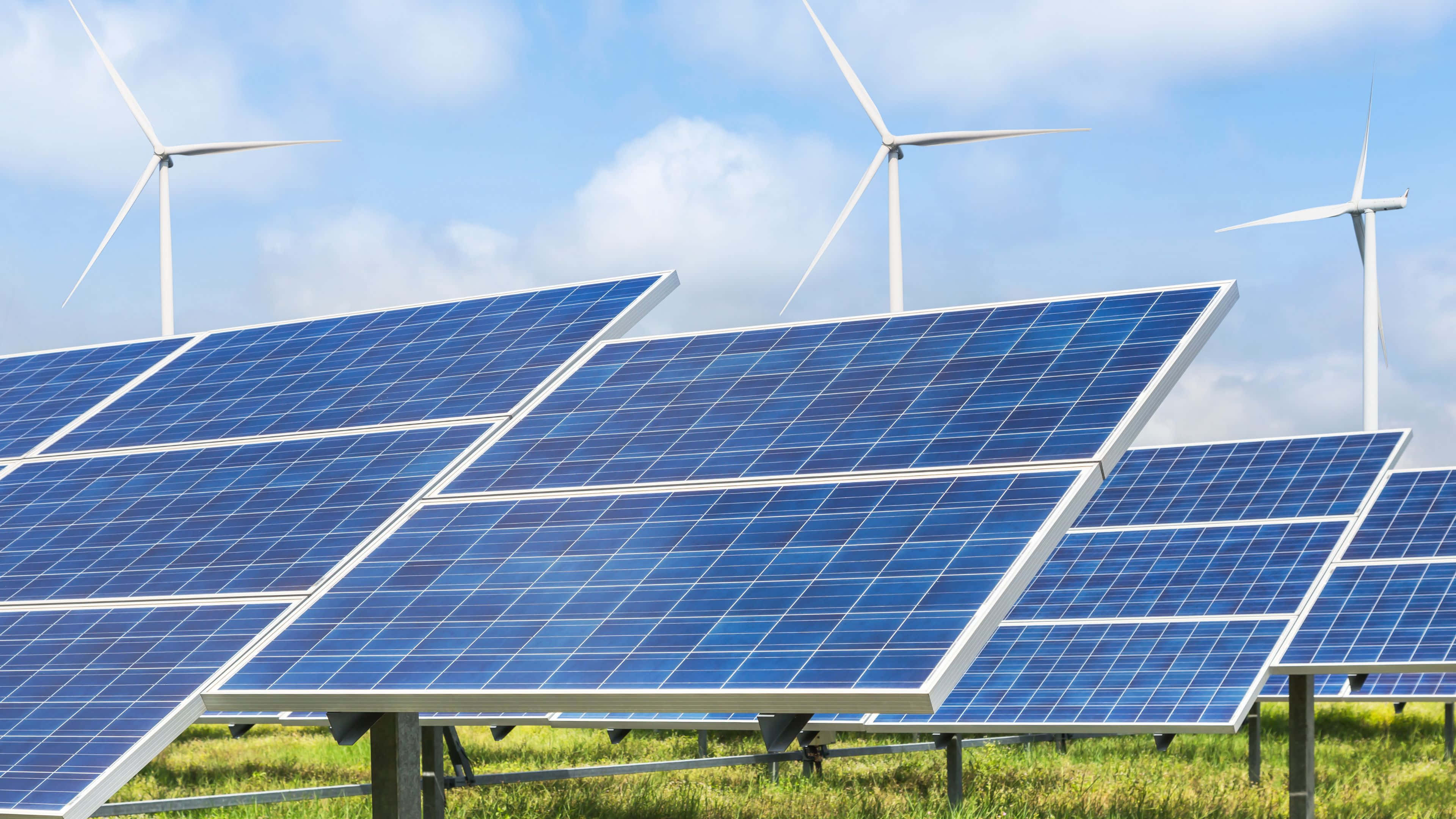 Solar Panel 桌布 壁紙 — 一排排藍色太陽能板在明亮的藍天下延伸穿過草地，背景中白色風力渦輪機高高聳立。