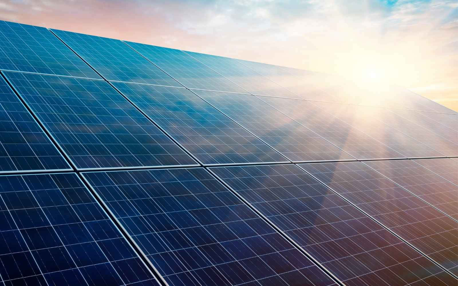 Solar Panel 桌布 壁紙 — 一排排藍色太陽能板在明亮的陽光下閃閃發光，天空中有柔和的粉紅色和橙色雲彩。