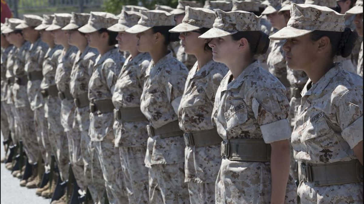 Marines 桌布 壁紙 — 一排排身穿沙漠迷彩制服的女海軍陸戰隊員在明亮的日光下立正。