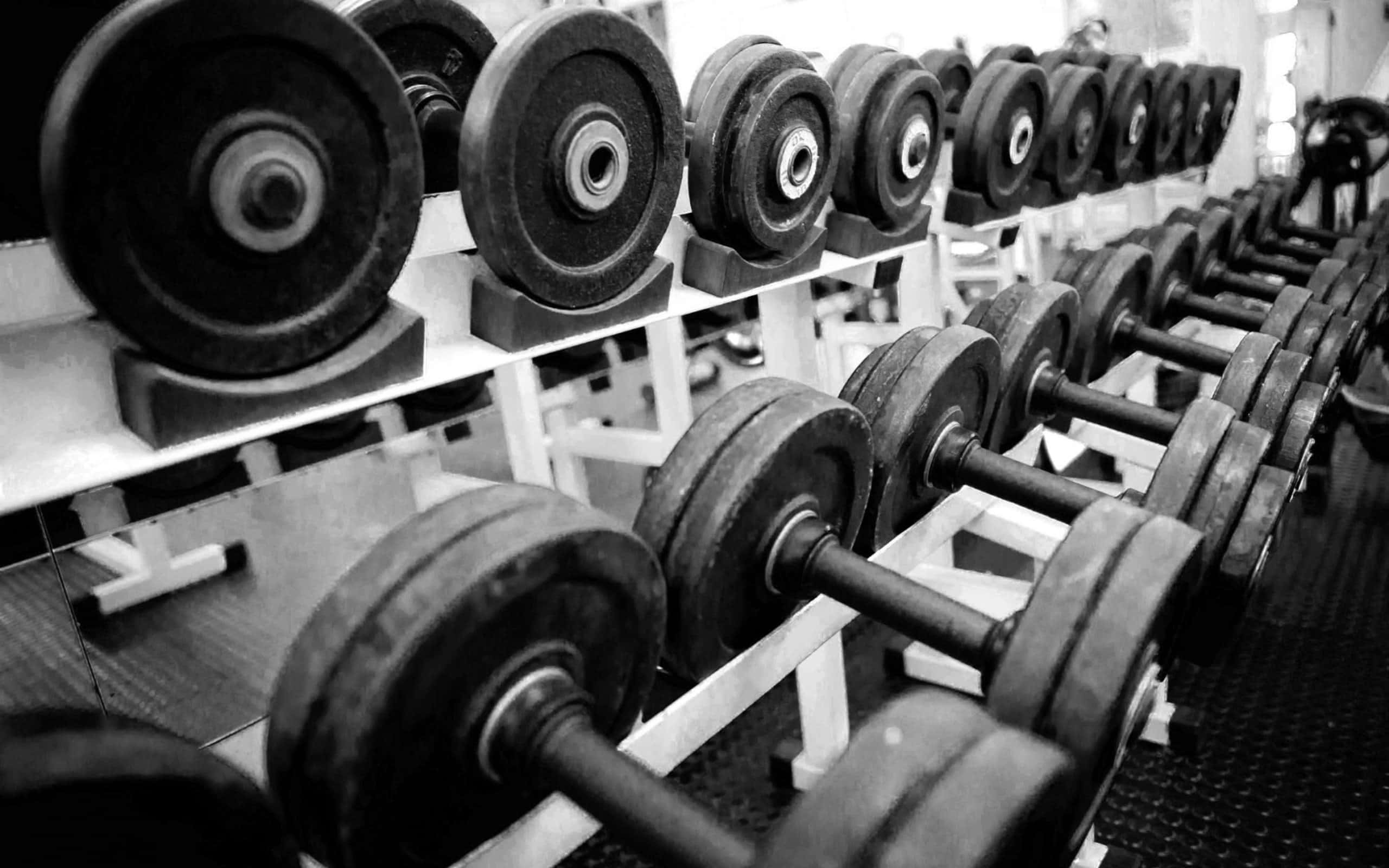 Barbell 桌布 壁紙 — 一排排重型啞鈴整齊排列在單色健身房環境的架子上。
