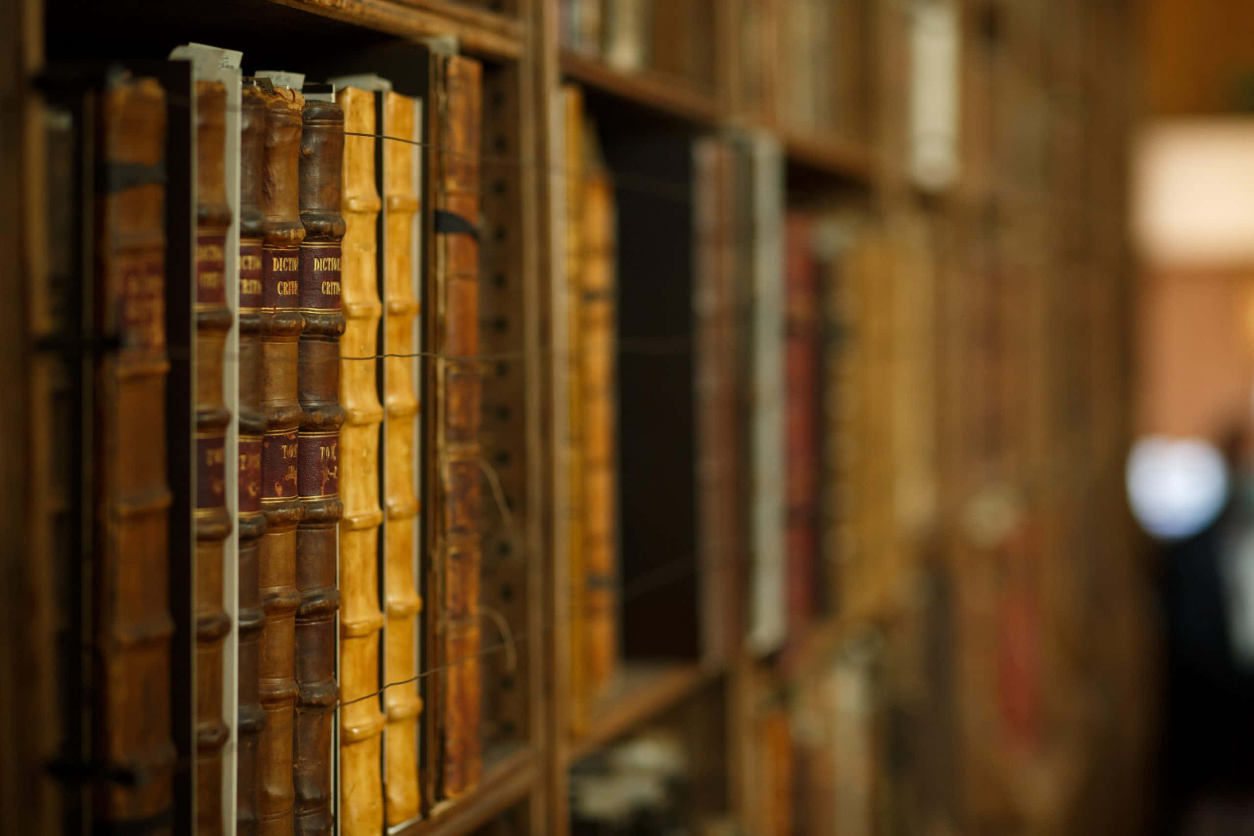 Library 桌布 壁紙 — 一排排陳舊的皮面書本排列在木製書架上，位於溫暖照明的復古圖書館中，景深較淺。