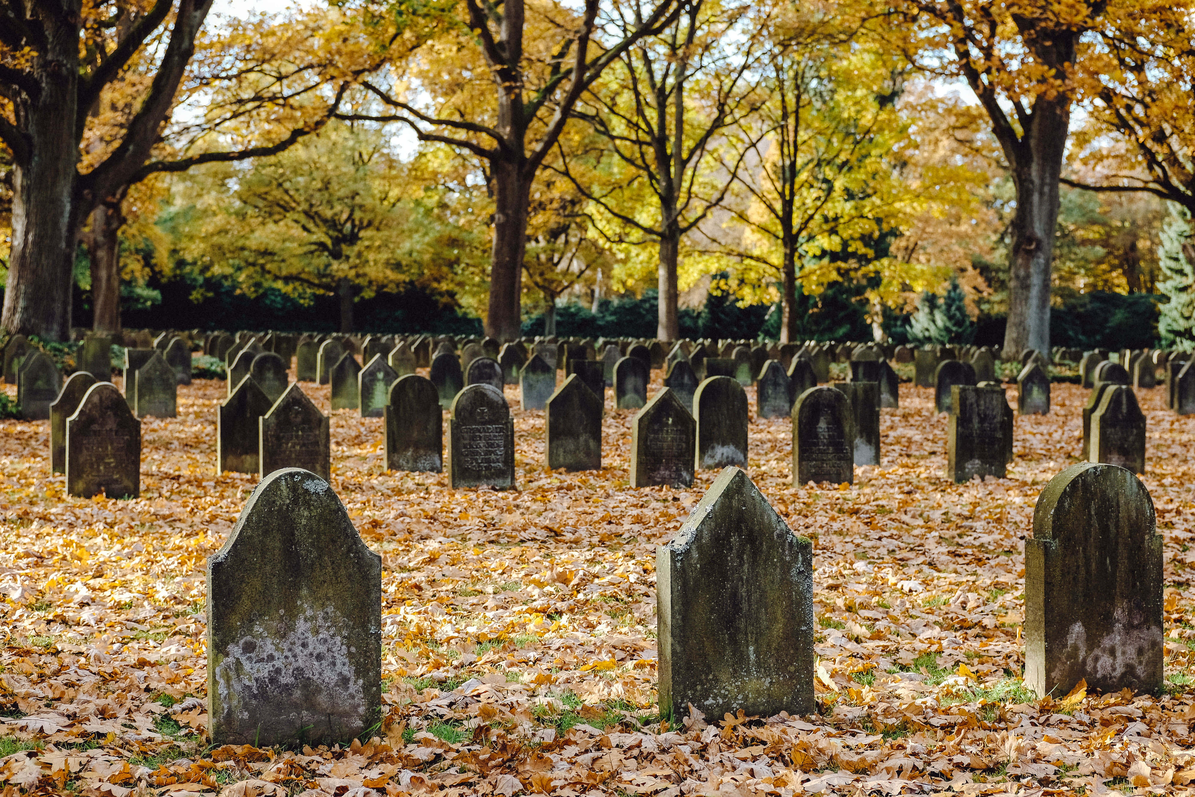 Graveyard 桌布 壁紙 — 一排排風化的墓碑莊嚴地矗立在鋪滿金黃落葉的秋季墓園中。
