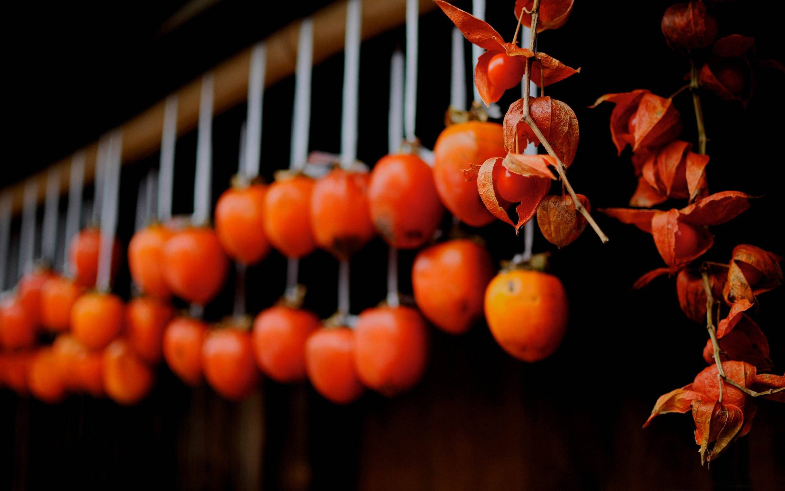 Fruit 桌布 壁紙 — 一排排鮮橙色的柿子掛在深色木質背景上，形成豐富的秋季簇狀。