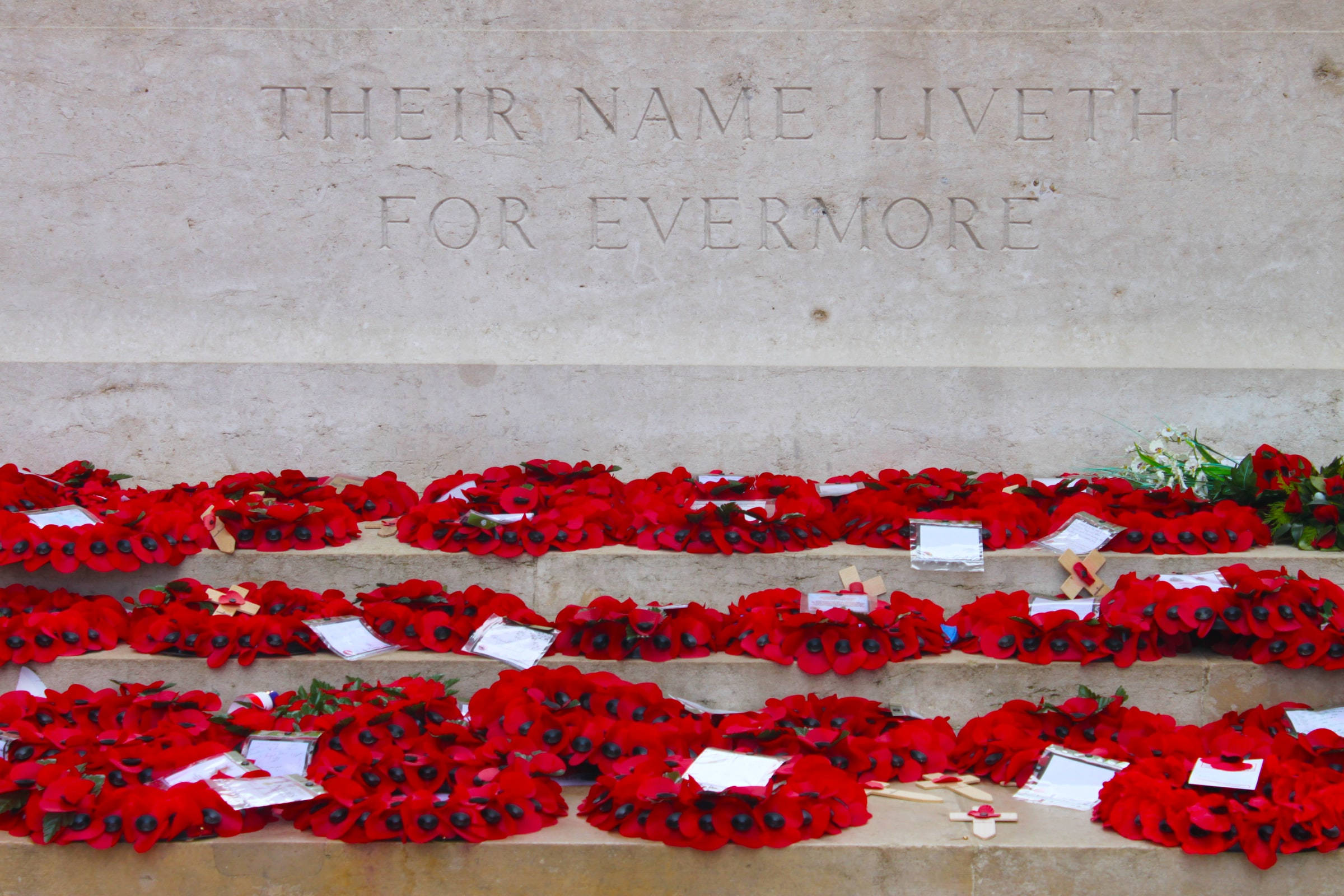Remembrance 桌布 壁紙 — 一排排鮮紅的罌粟花圈放在石階上，下方是刻有「THEIR NAME LIVETH FOR EVERMORE」的莊嚴紀念牆。
