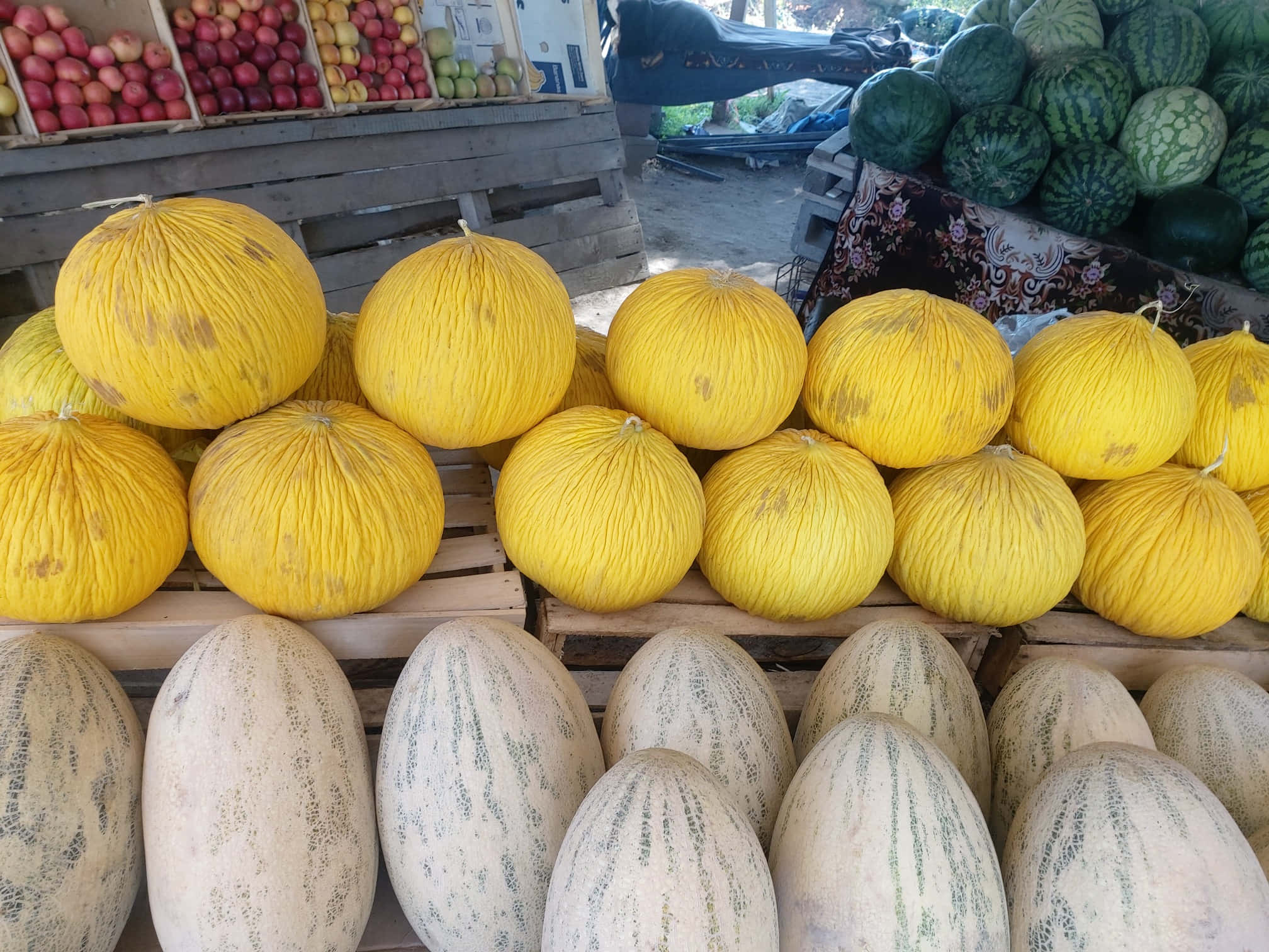 Fruits 桌布 壁紙 — 一排排鮮黃色和斑點瓜在戶外市場攤位展示，背景有蘋果和西瓜。