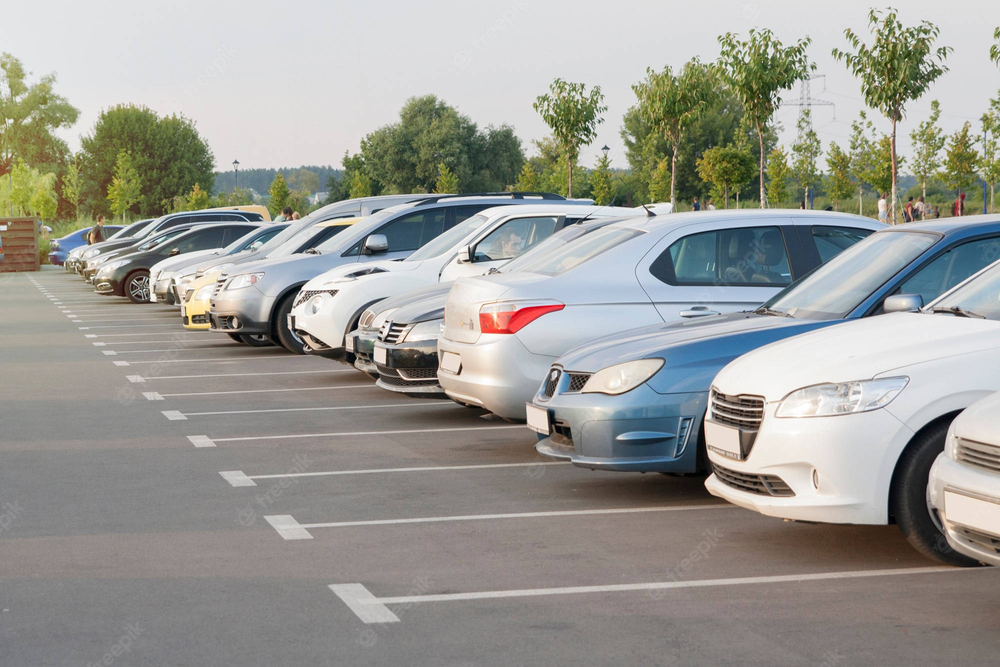 汽車 桌布 壁紙 — 一排時尚的銀色和白色轎車整齊地停放在陽光明媚的戶外停車場，背景有樹木。