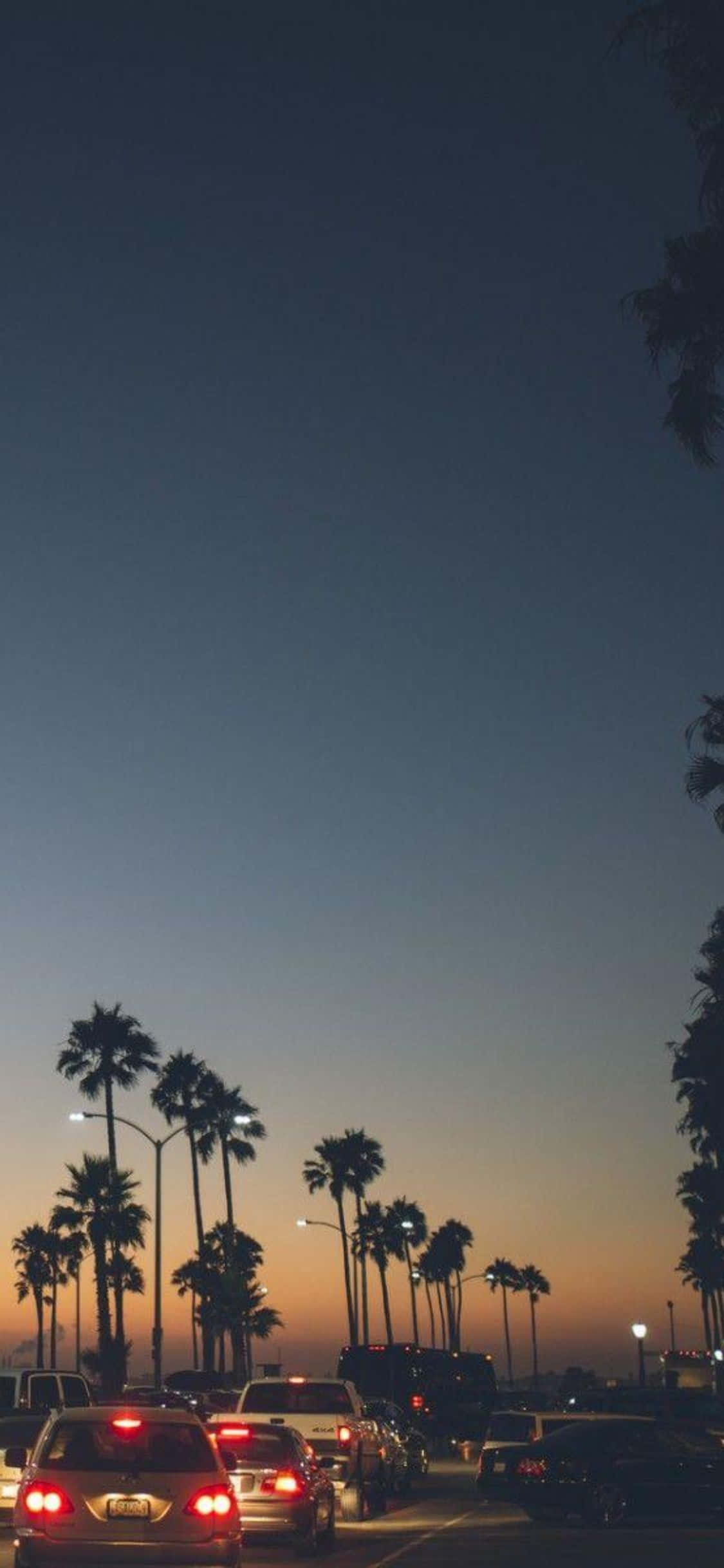 iPhone Xs California 桌布 壁紙 — 一排汽車亮著紅色尾燈，沿著棕櫚樹成蔭的街道行駛，暮色將天空染成柔和的橙色和深藍色。
