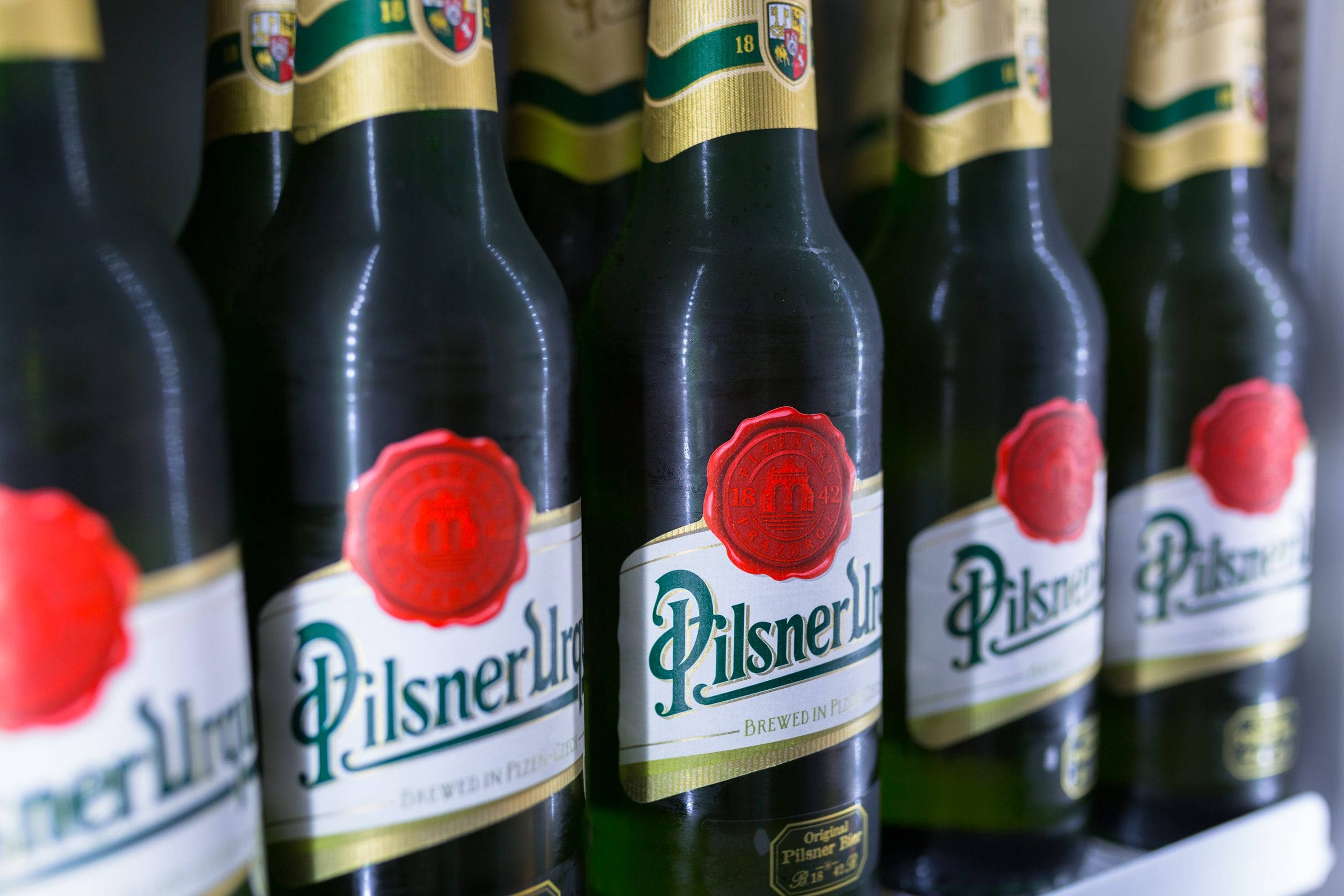 bottle 桌布 壁紙 — 一排深綠色 Pilsner Urquell 啤酒瓶，帶有紅色蠟封和金色標籤，在模糊的背景前清晰對焦。