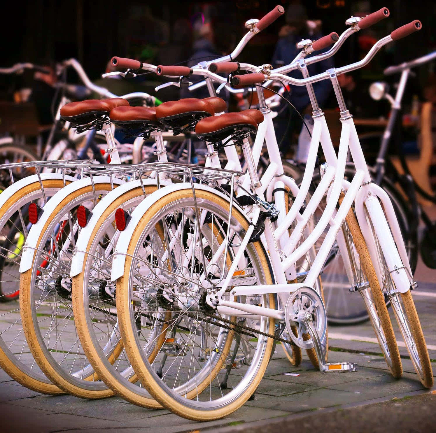 Bicycle 桌布 壁紙 — 一排白色腳踏車，配備棕色輪胎和棕色皮革座椅，整齊地停放在鋪砌的人行道上。