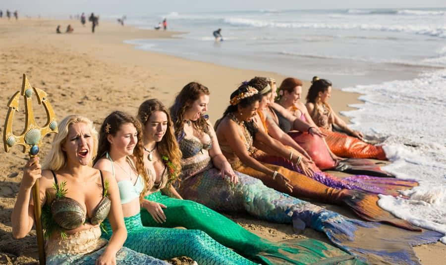 Mermaids 桌布 壁紙 — 一排穿著色彩繽紛美人魚尾巴的女性坐在沙灘上，海浪在明亮的日光下拍打著她們的腳。