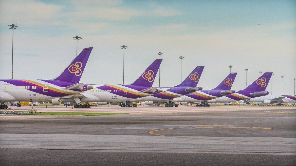 Airport 桌布 壁紙 — 一排紫色和金色的泰國航空噴射機整齊地停在機場停機坪上，天空柔和藍色。