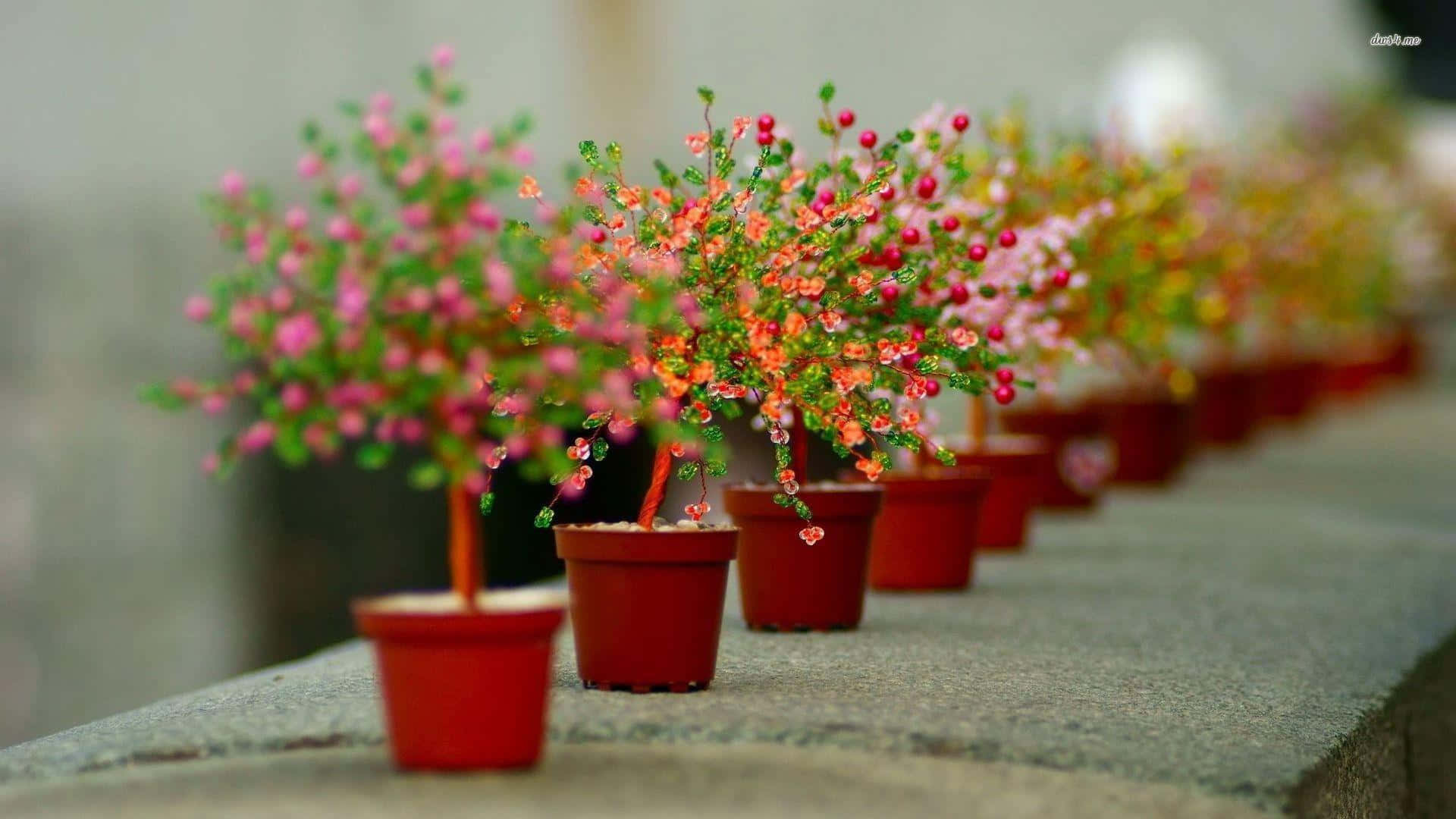 pot 桌布 壁紙 — 一排細小的盆栽開花植物，帶有粉紅色和橙色的花朵，整齊地排列在石頭窗台上。