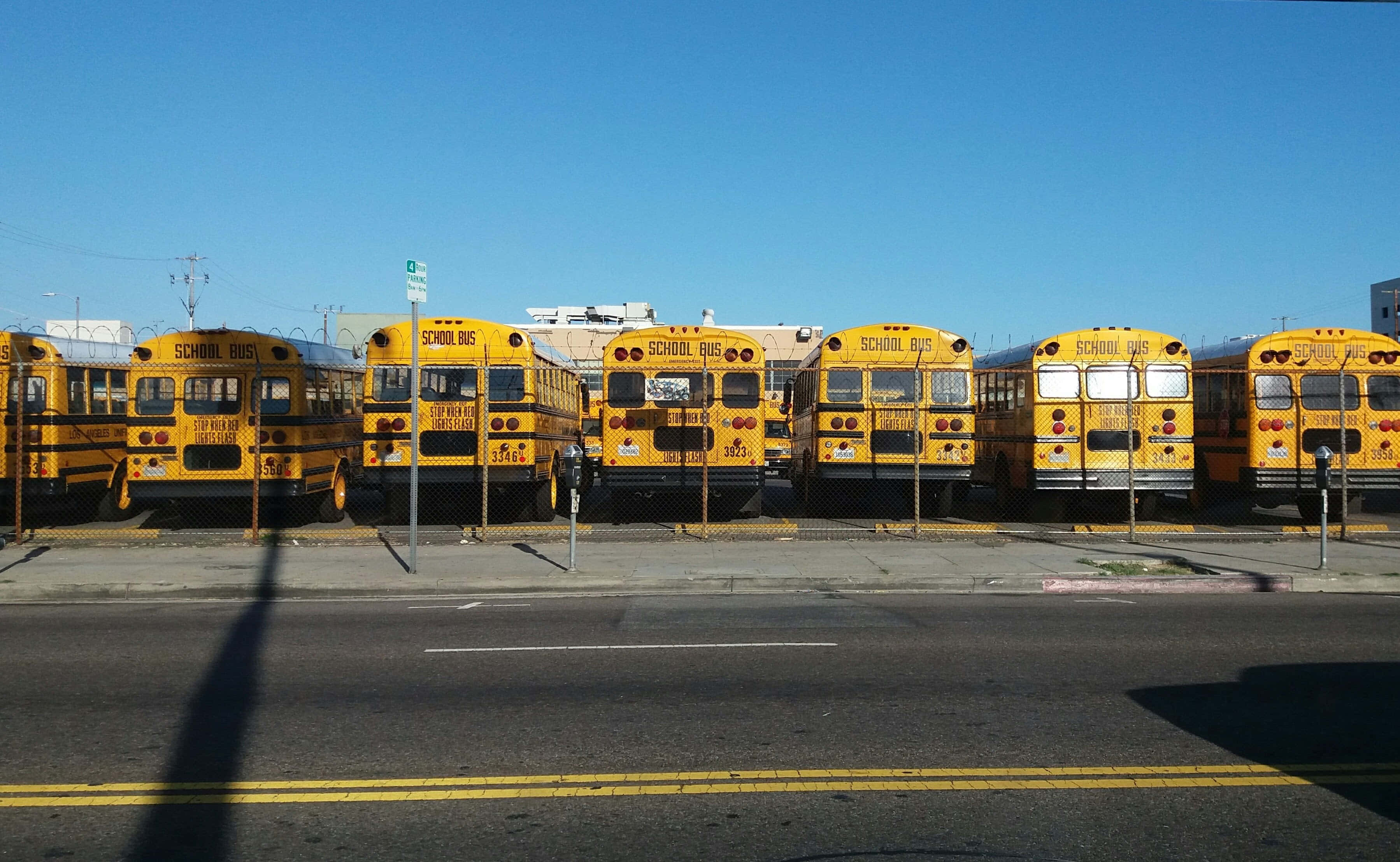 Yellow School Bus 桌布 壁紙 — 一排經典黃色校車停放在鐵絲網圍欄後面，天空清澈湛藍。