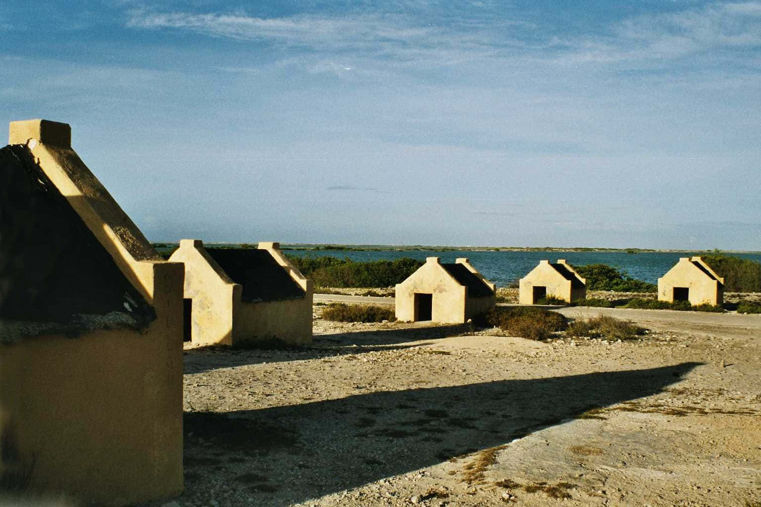 Hut 桌布 壁紙 — 一排經風化的黃色小屋，深色屋頂，矗立在乾旱土地上，靠近遠方藍色海洋，天空晴朗。