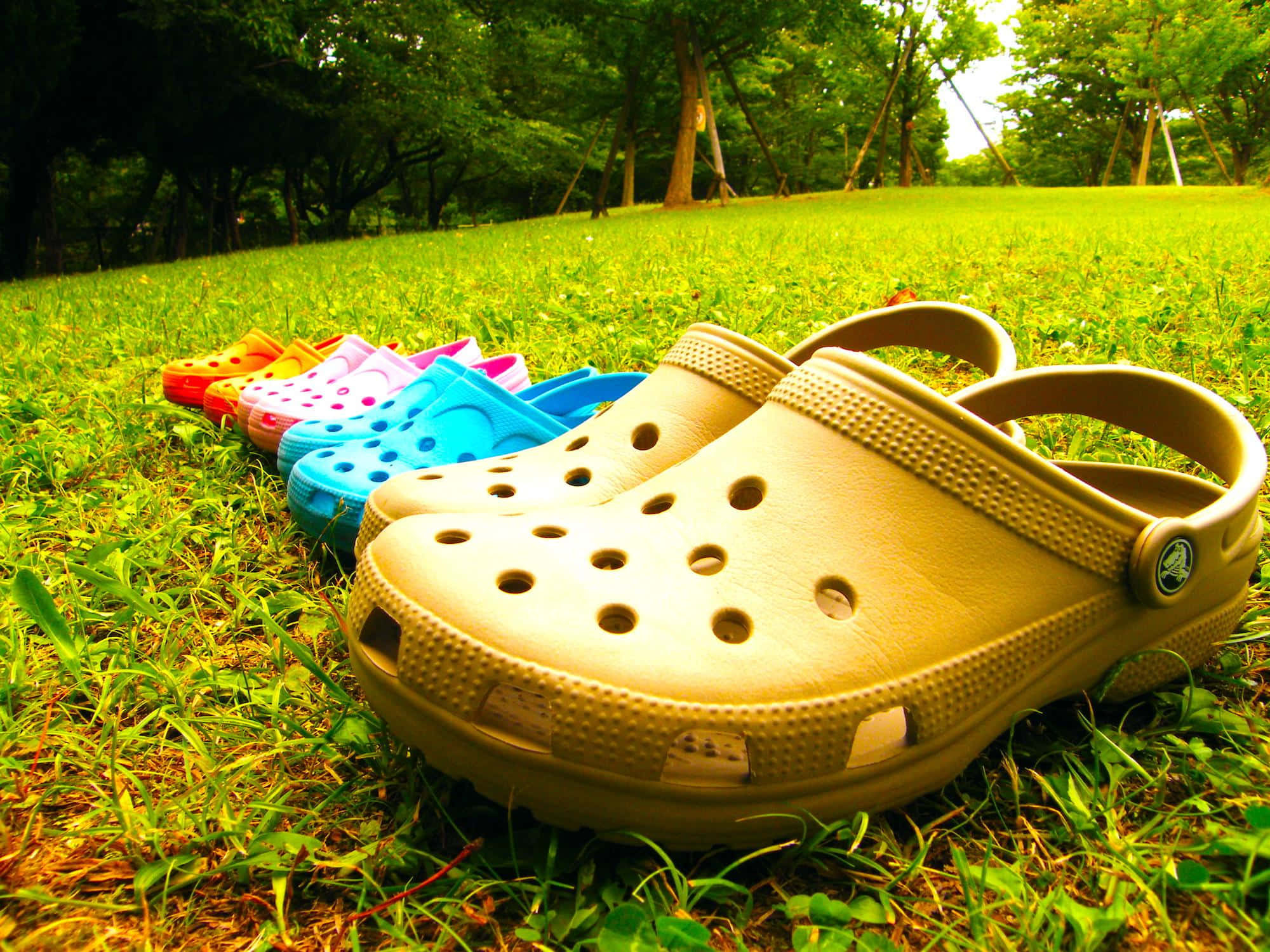 Crocs 桌布 壁紙 — 一排色彩繽紛的Crocs鞋整齊排列在鮮綠色草地上，背景有樹木，光線明亮。