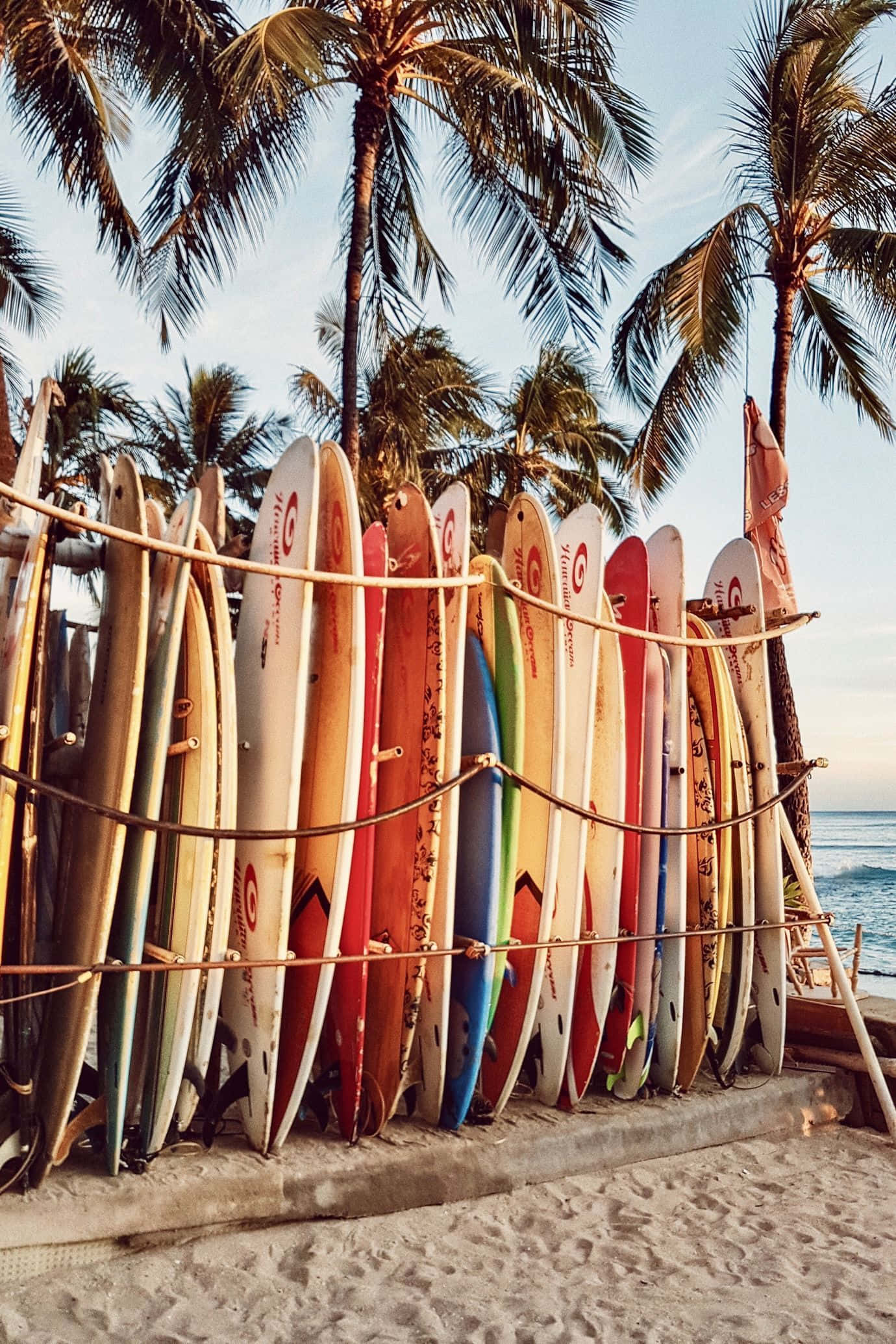 surfing 桌布 壁紙 — 一排色彩繽紛的衝浪板在日落時分靠著沙灘上的繩索圍欄，棕櫚樹下。