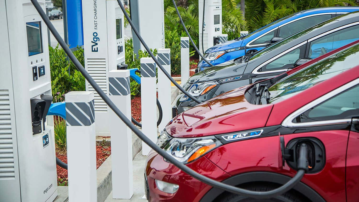 Electric Vehicle 桌布 壁紙 — 一排色彩繽紛的電動車在明亮的日光下插入白色EVgo快速充電器，背景是茂密的綠色植物。