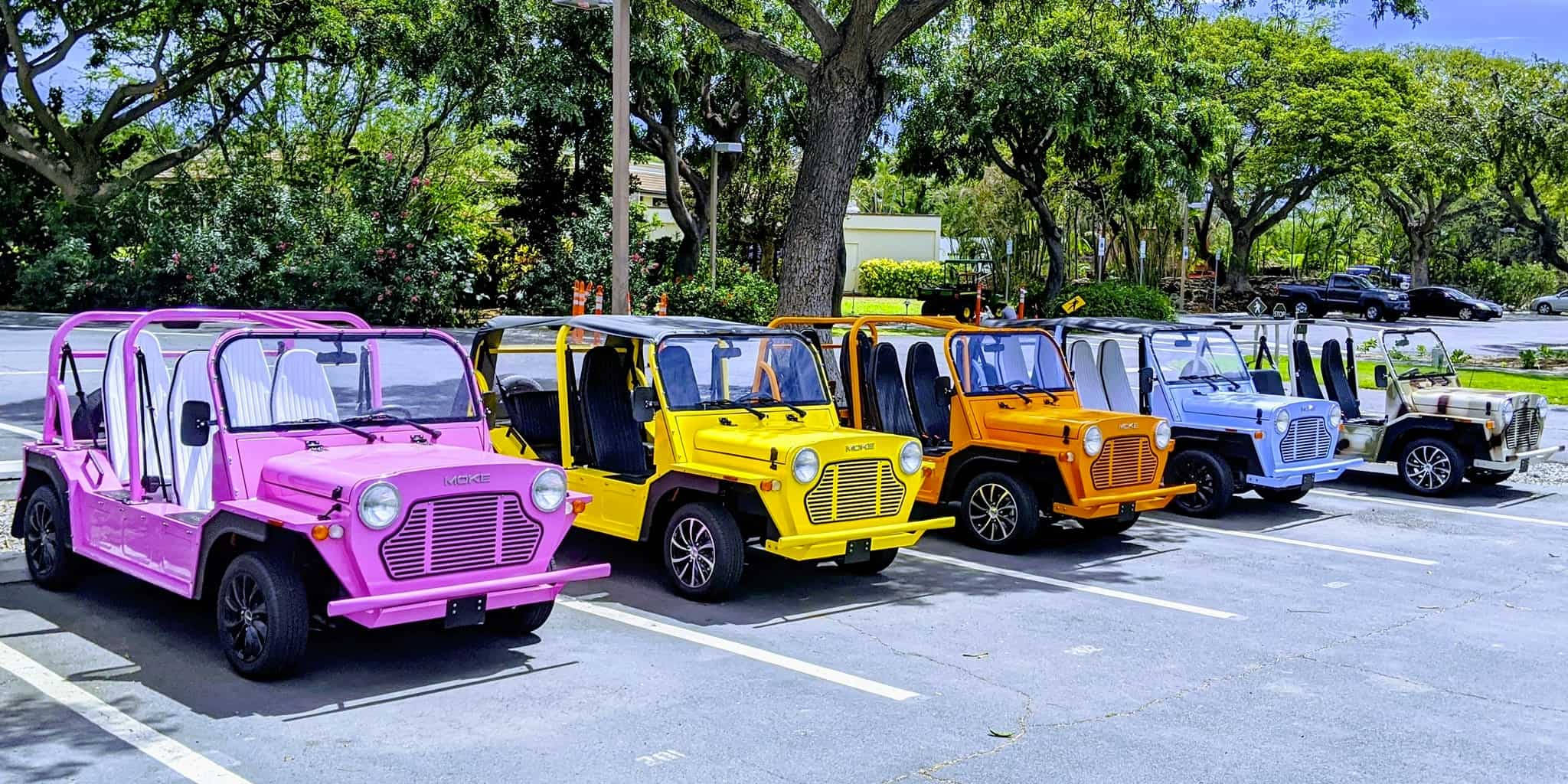 彩色動圖 桌布 壁紙 — 一排色彩鮮豔的迷你吉普車停放在陽光普照、綠樹成蔭的空地上。