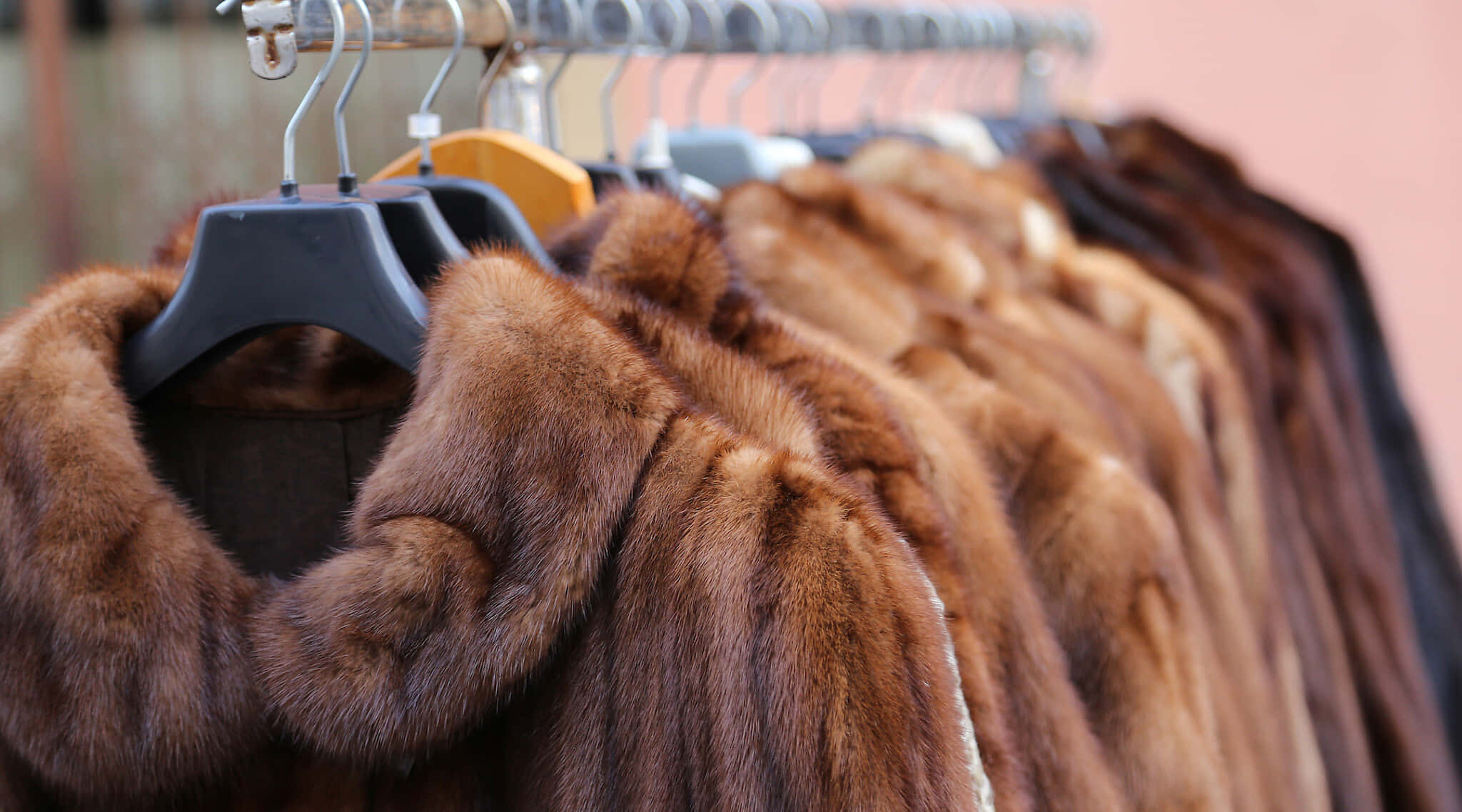 Animal Fur 桌布 壁紙 — 一排豐厚的棕色皮草大衣整齊地掛在金屬衣架上，位於柔和燈光的精品店內。