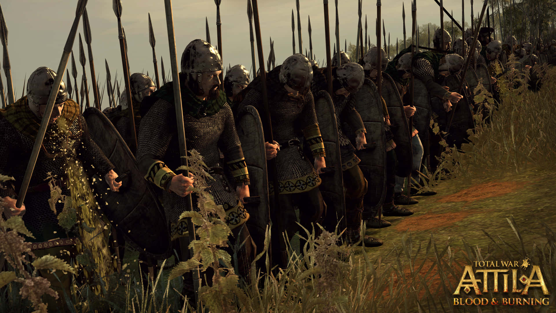 Total War Attila 桌布 壁紙 — 一排身穿鎖子甲和頭盔的中世紀戰士，在草地上手持長矛和盾牌列陣。