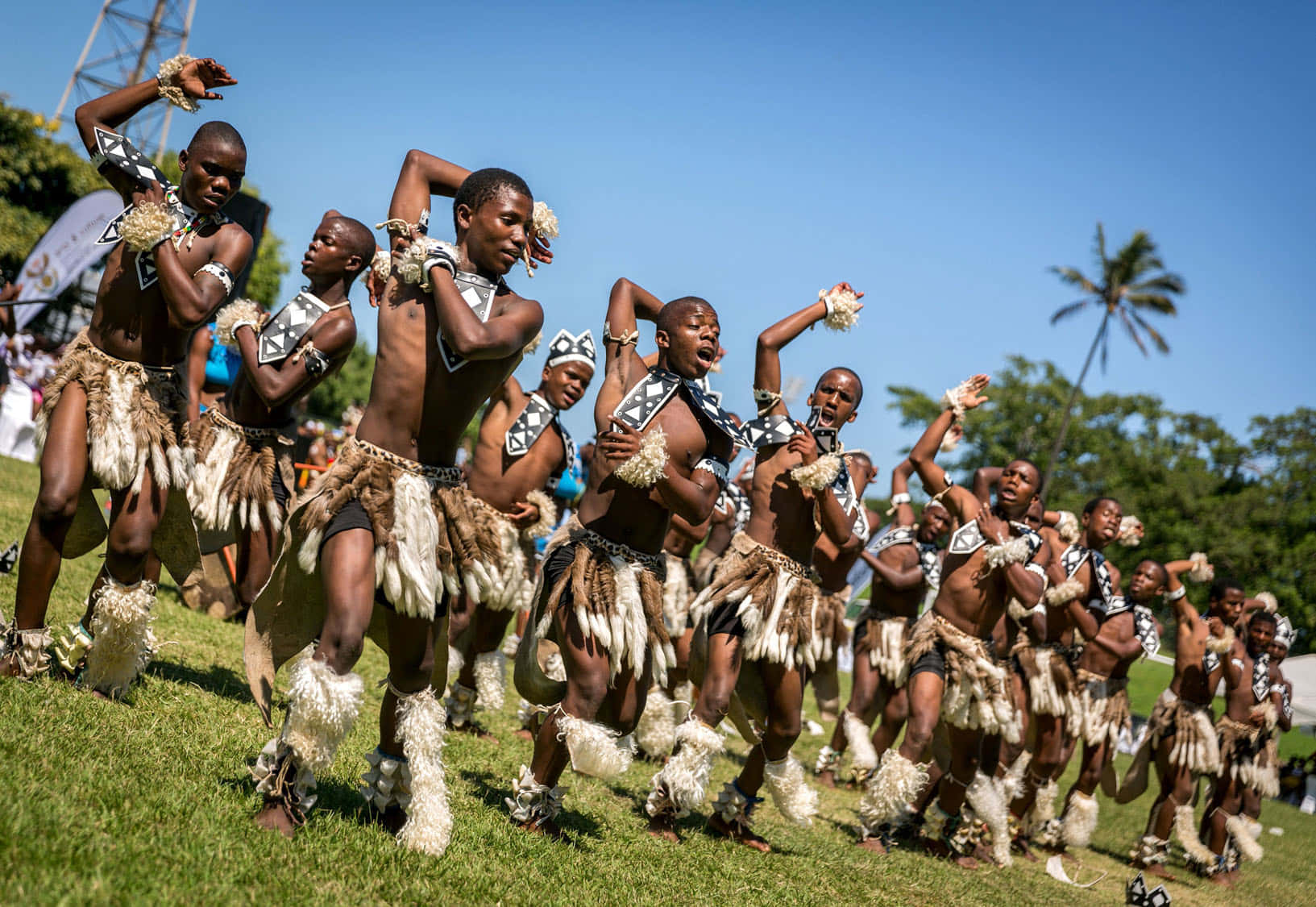 African Culture 桌布 壁紙 — 一排身著羽毛服飾的傳統舞者在陽光明媚的草地上，在清澈的藍天下充滿活力地表演。