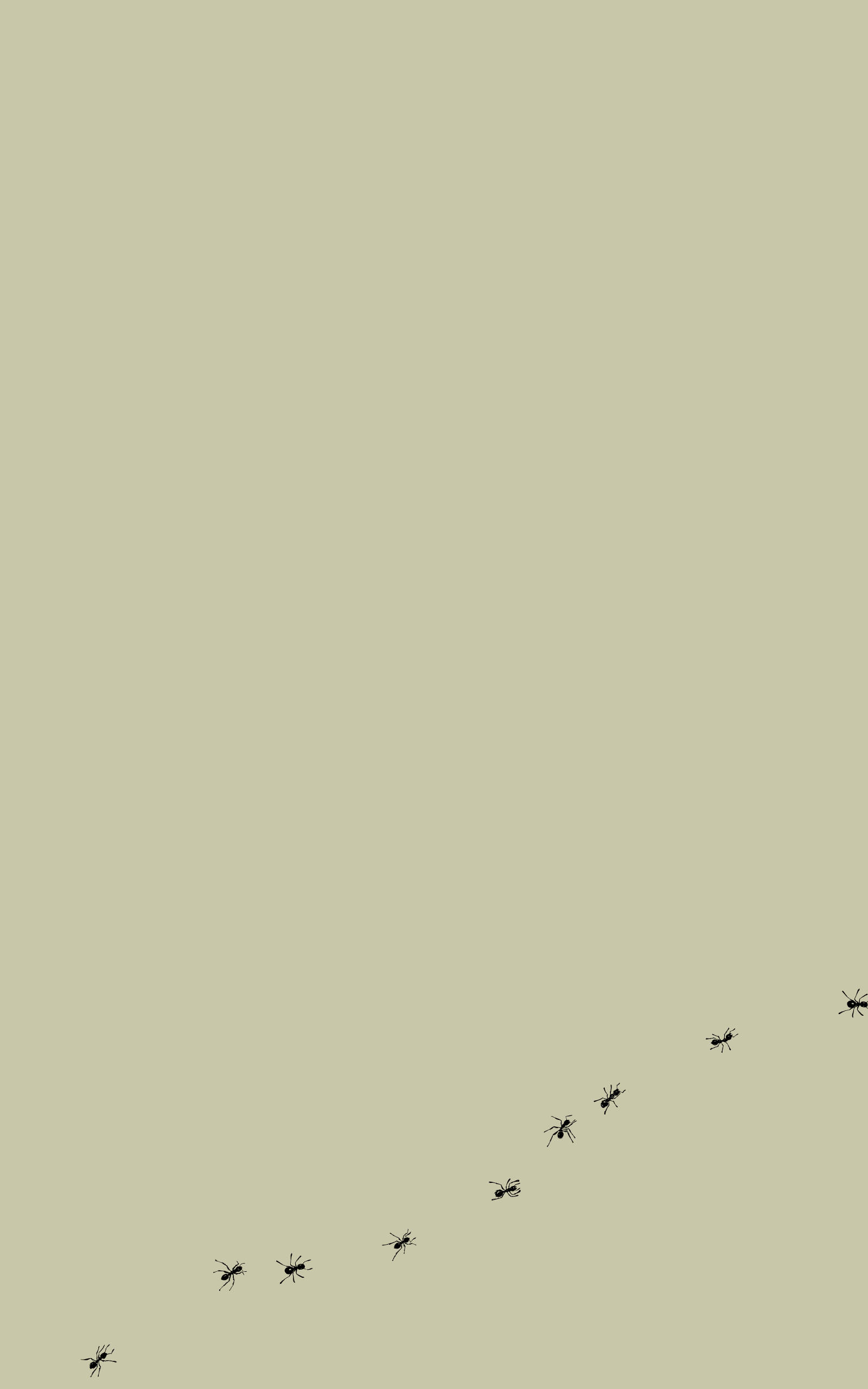Minimalist iPad 桌布 壁紙 — 一排黑色螞蟻以極簡剪影形式對角線穿過純米色背景。