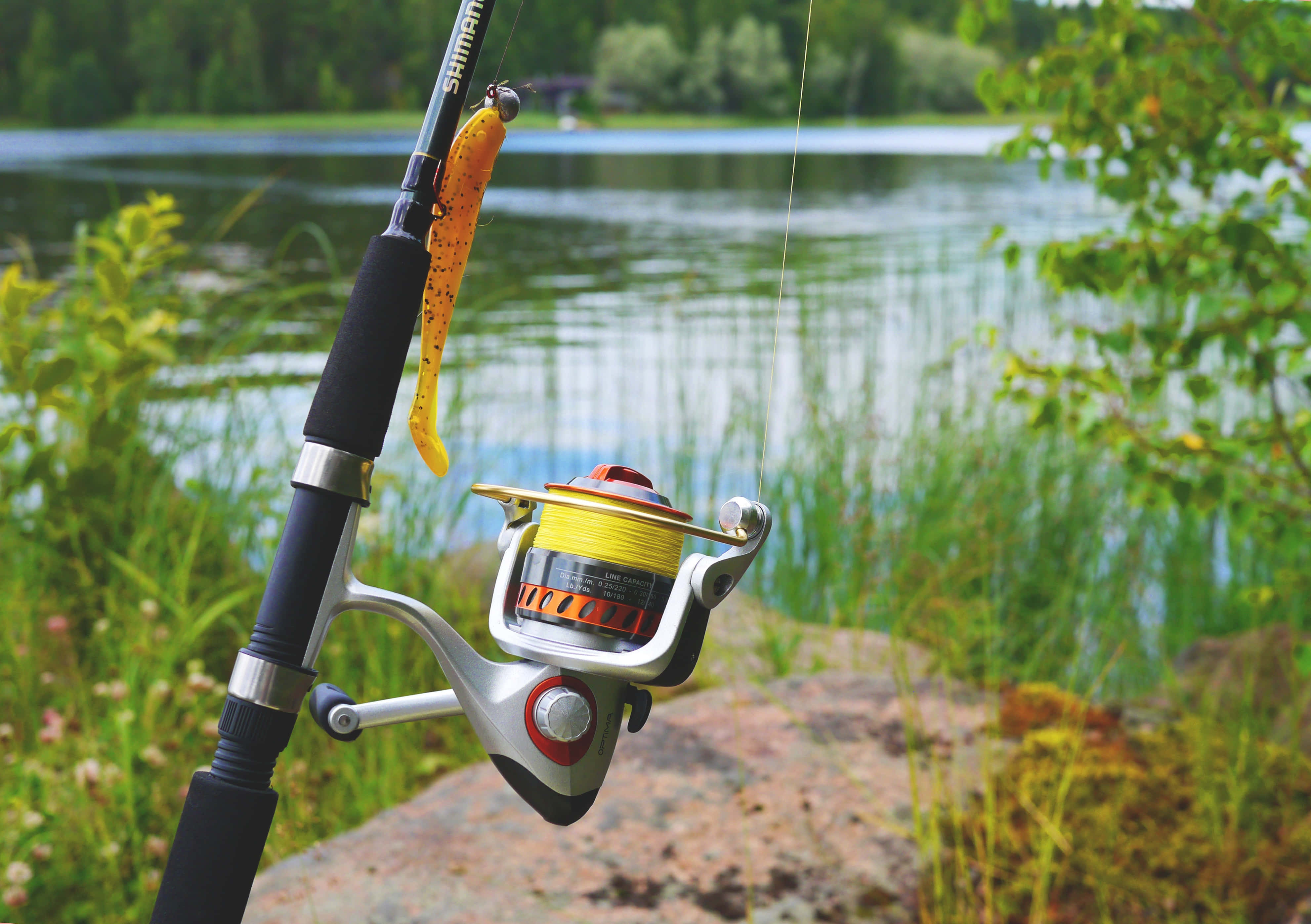 Fishing Rod 桌布 壁紙 — 一支Shimano釣魚竿，配有黃色釣線和魚餌，擱在長滿青苔的石頭上，旁邊是寧靜的湖泊，四周綠意盎然。